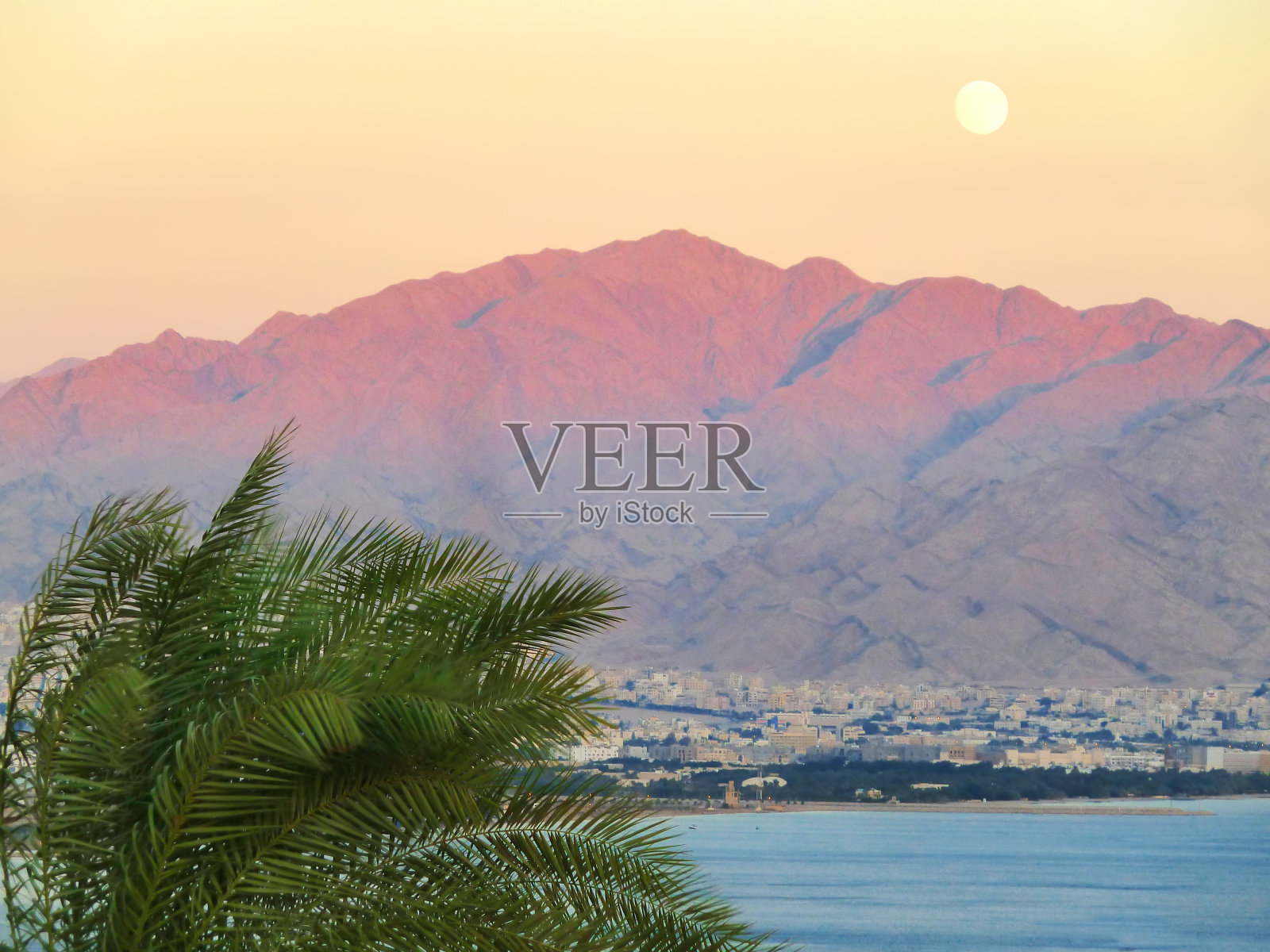 月亮山和棕榈树的海景照片摄影图片