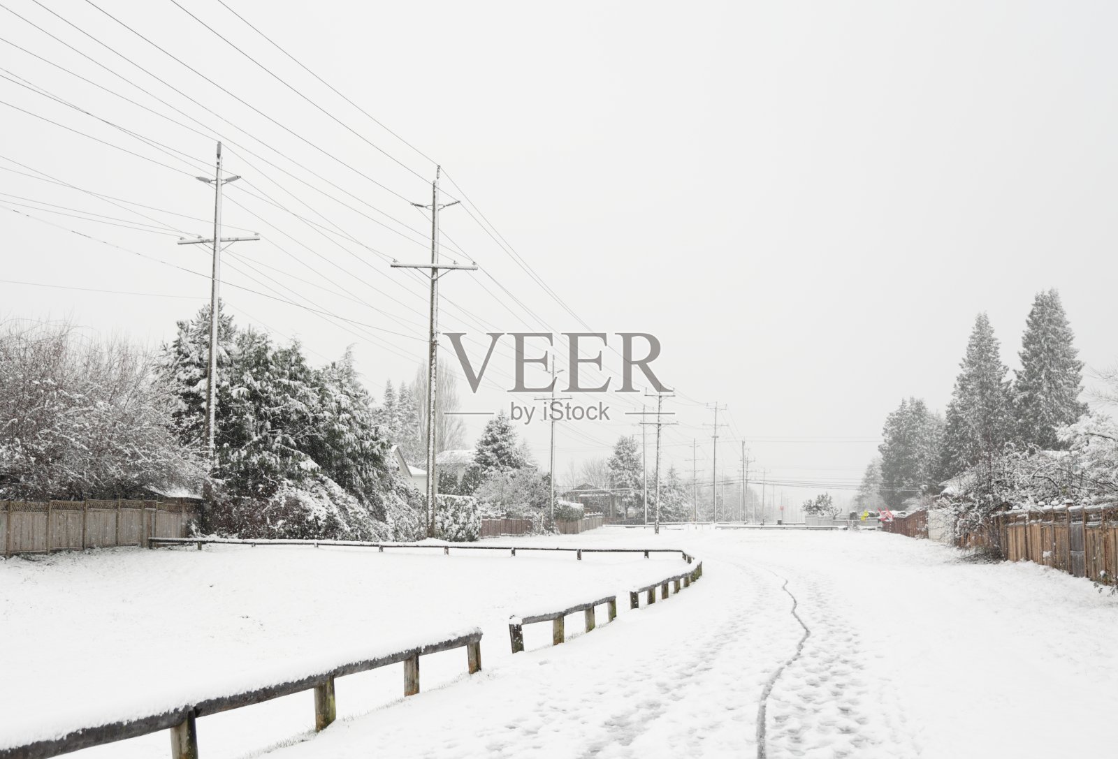 加拿大雪域绿化带上的电网照片摄影图片