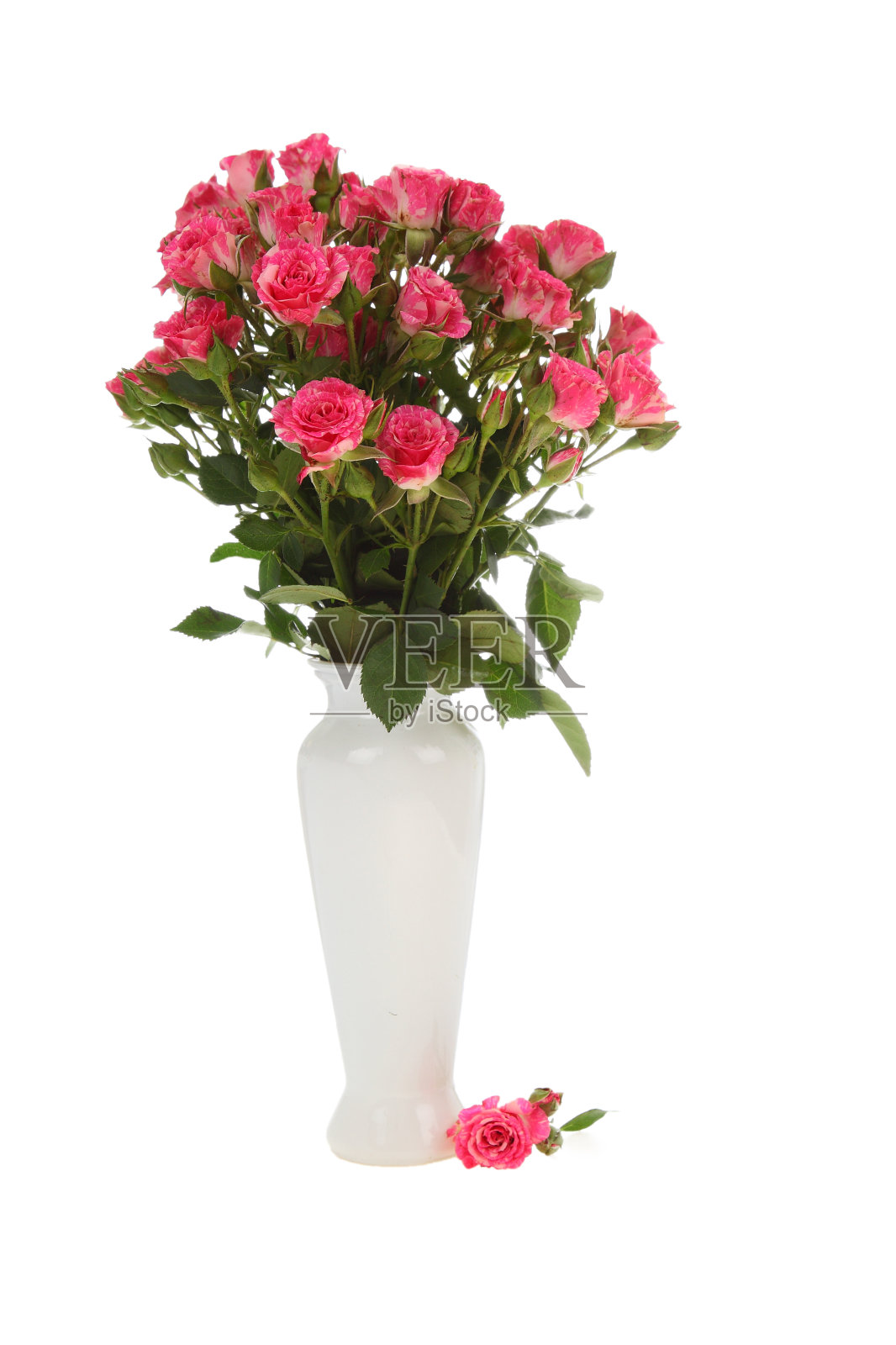 白色花瓶里的一束玫瑰照片摄影图片