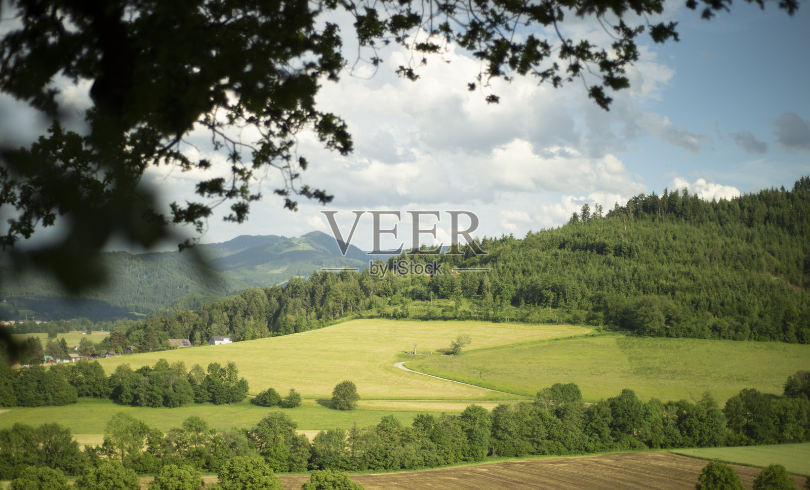 从弗莱堡到黑森林的美景照片摄影图片