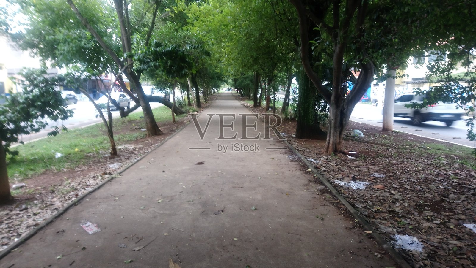 公园中间的亚伯费雷拉大道，一个绿色和愉快的地方，与家人去，孩子们的爱照片摄影图片