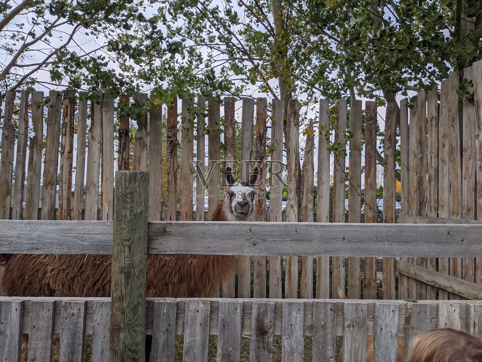 火焰照片摄影图片