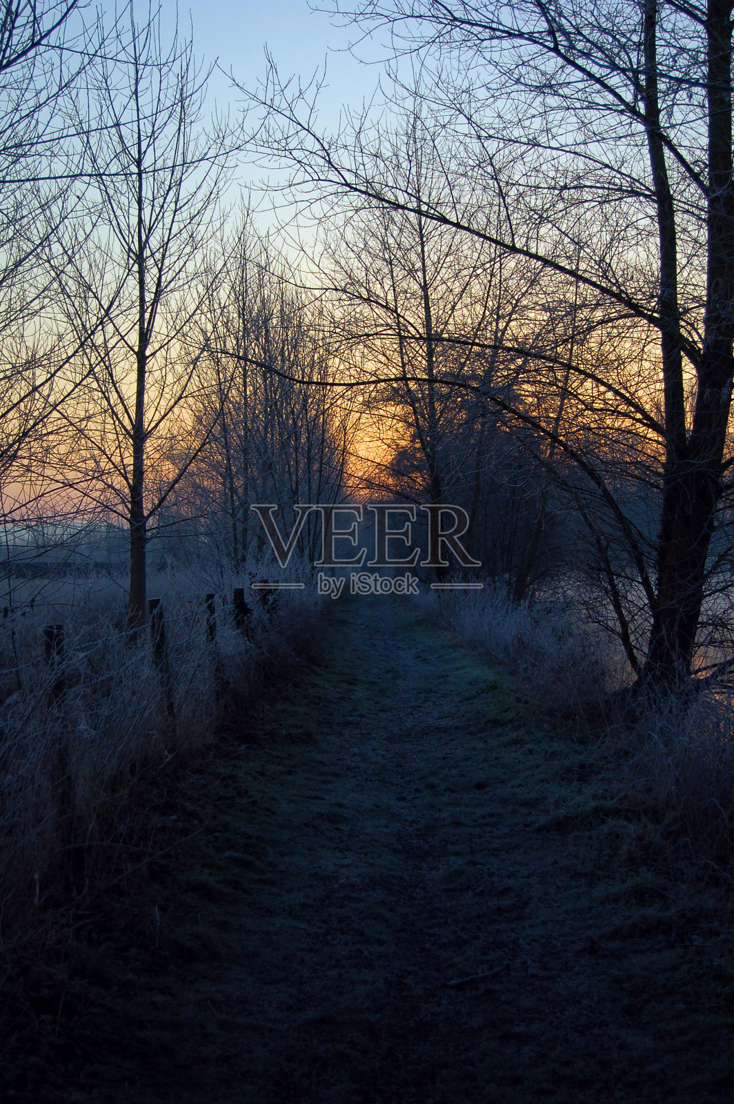 泰晤士路径照片摄影图片