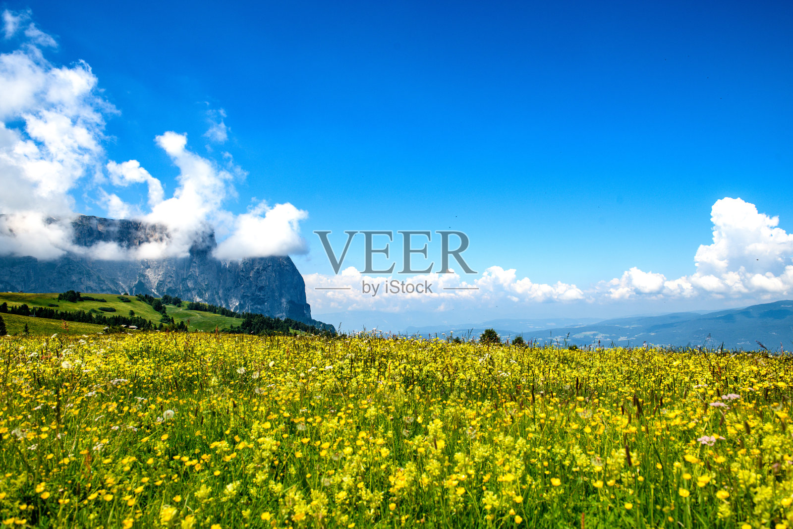 施勒恩|希利亚尔一世地块照片摄影图片