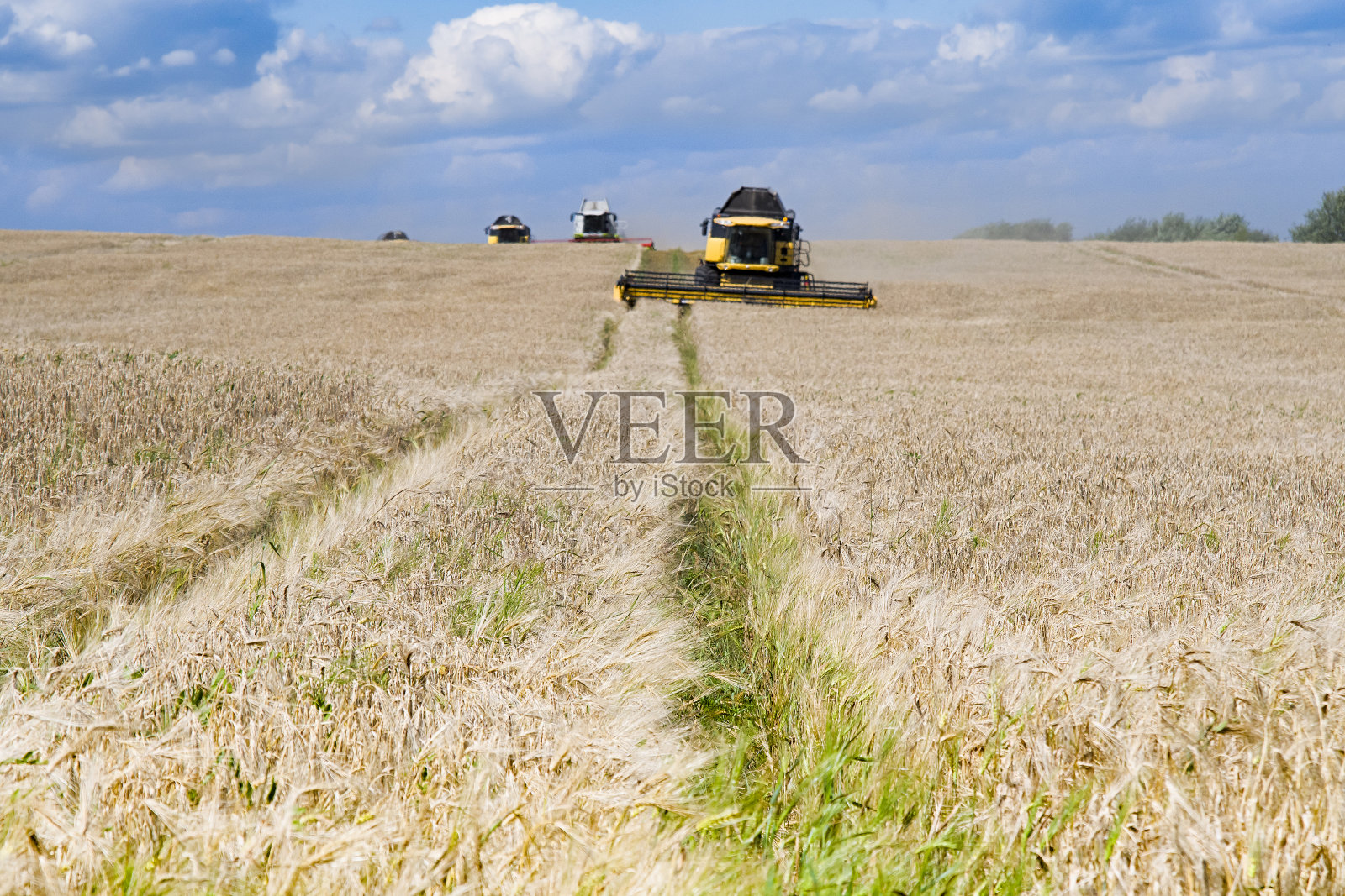 收获机照片摄影图片