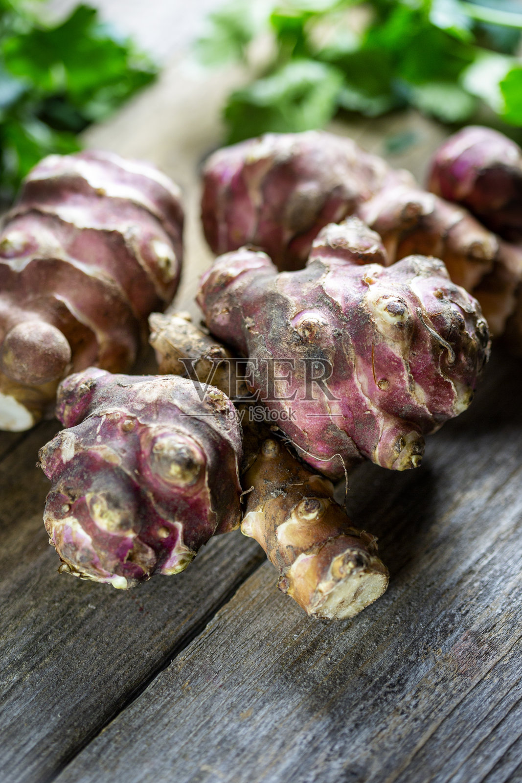 托品安布尔-耶路撒冷洋蓟照片摄影图片