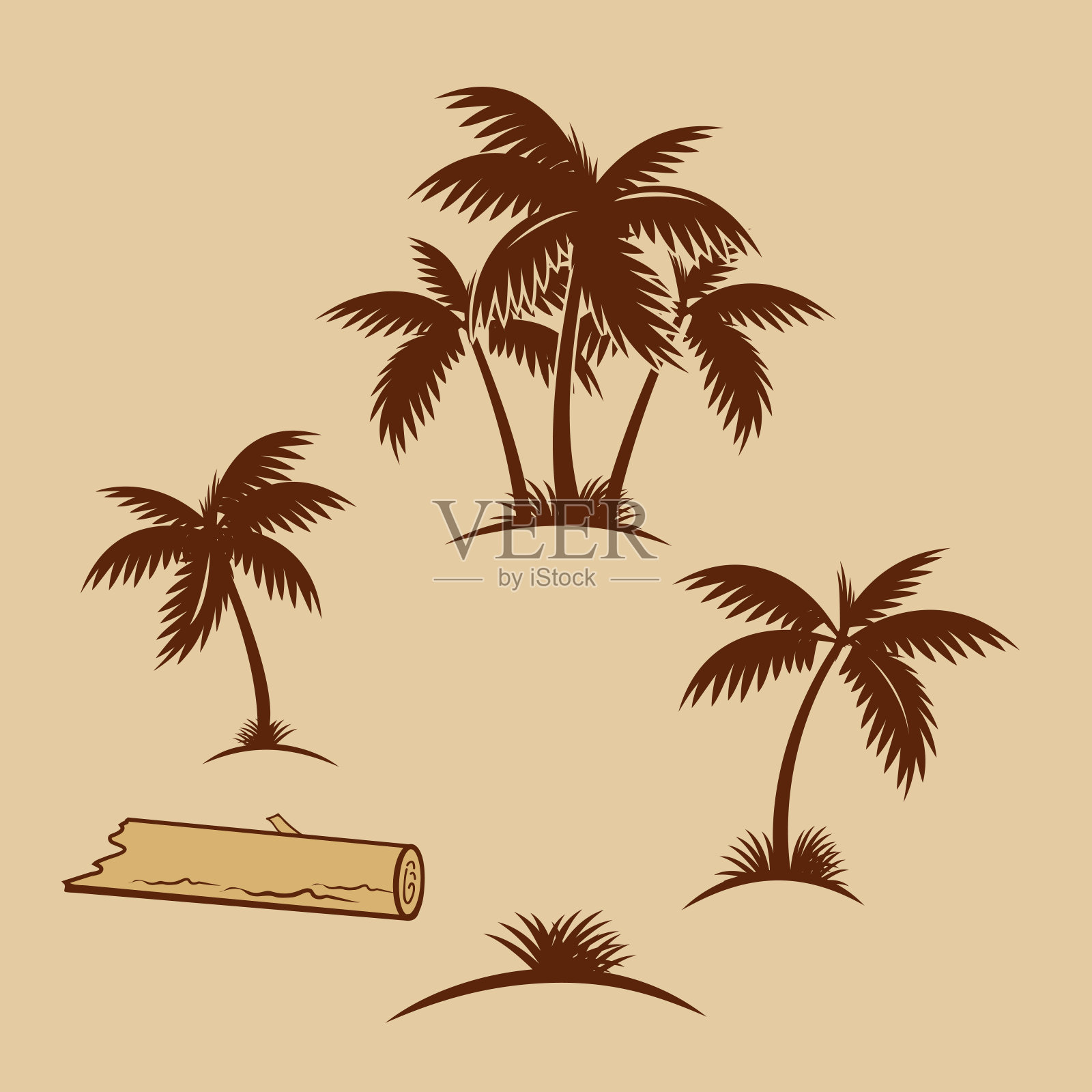 热带棕榈插画图片素材