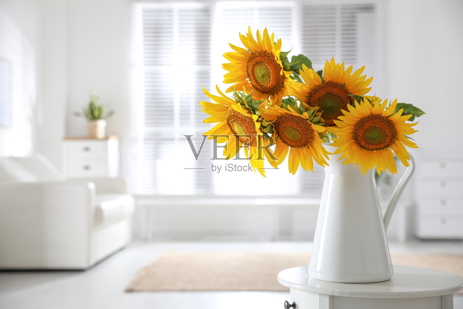 漂亮的向日葵花束放在室内桌子上的花瓶里。空间的文本照片摄影图片