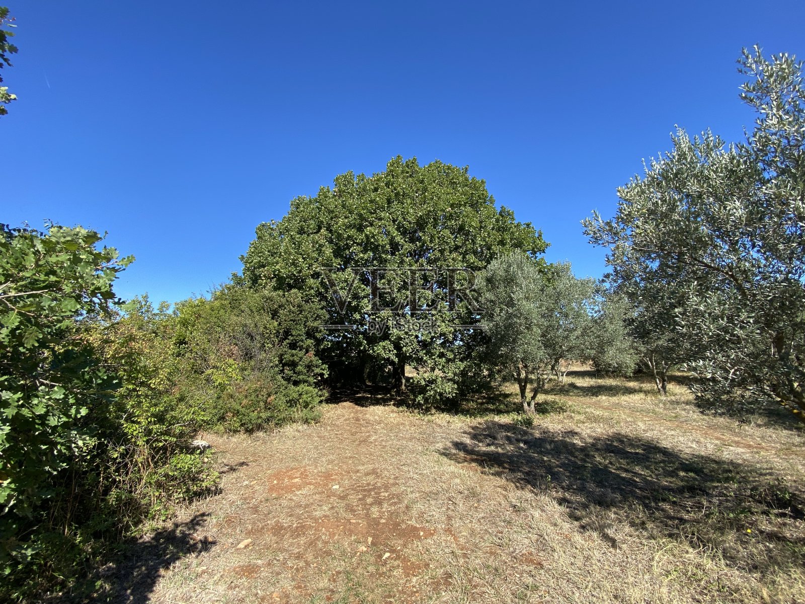 梅杜林戏院照片摄影图片