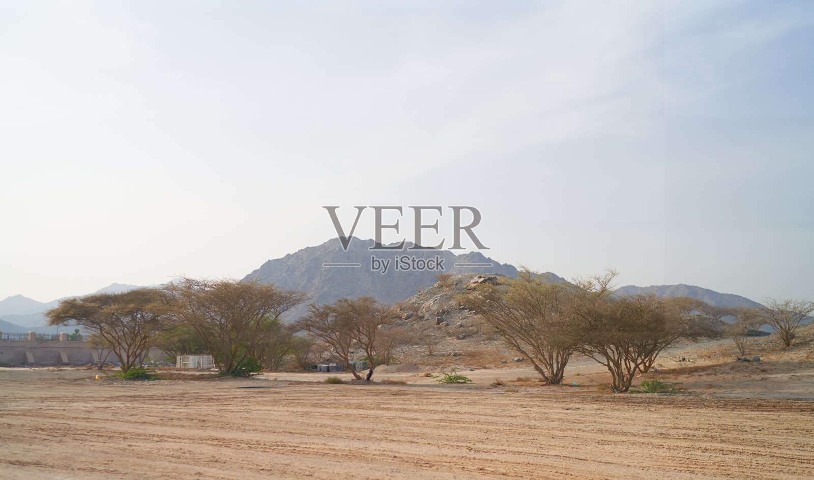 沙漠和灌木丛局部照片摄影图片