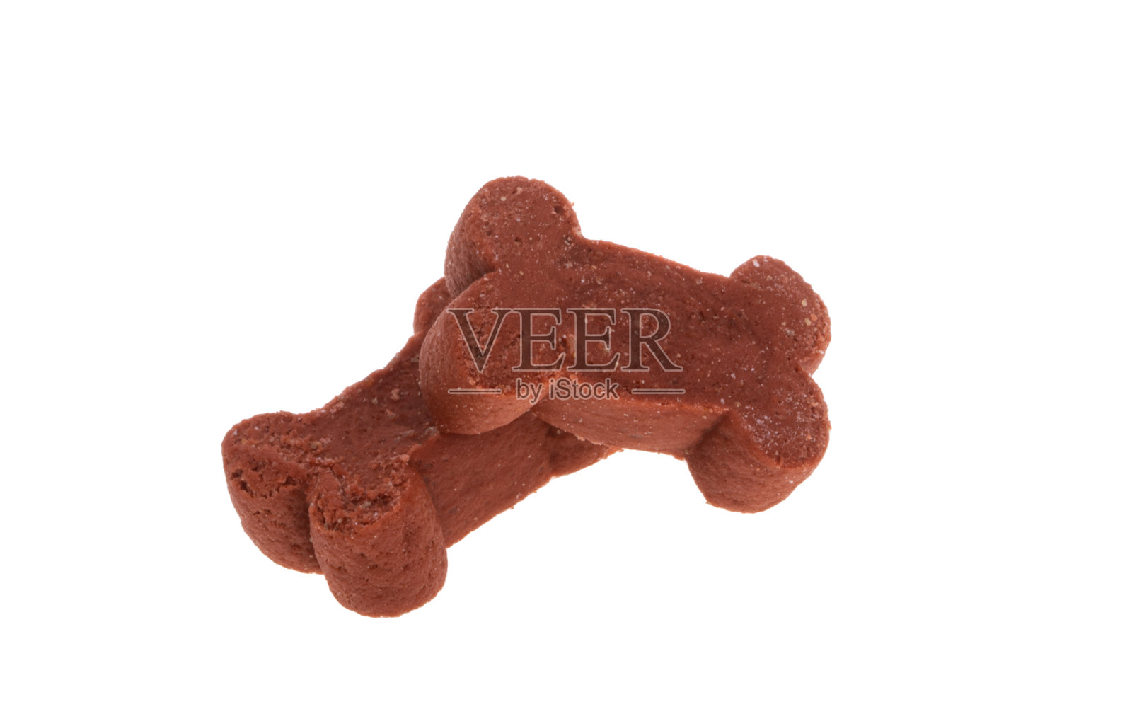 狗把孤立的照片摄影图片