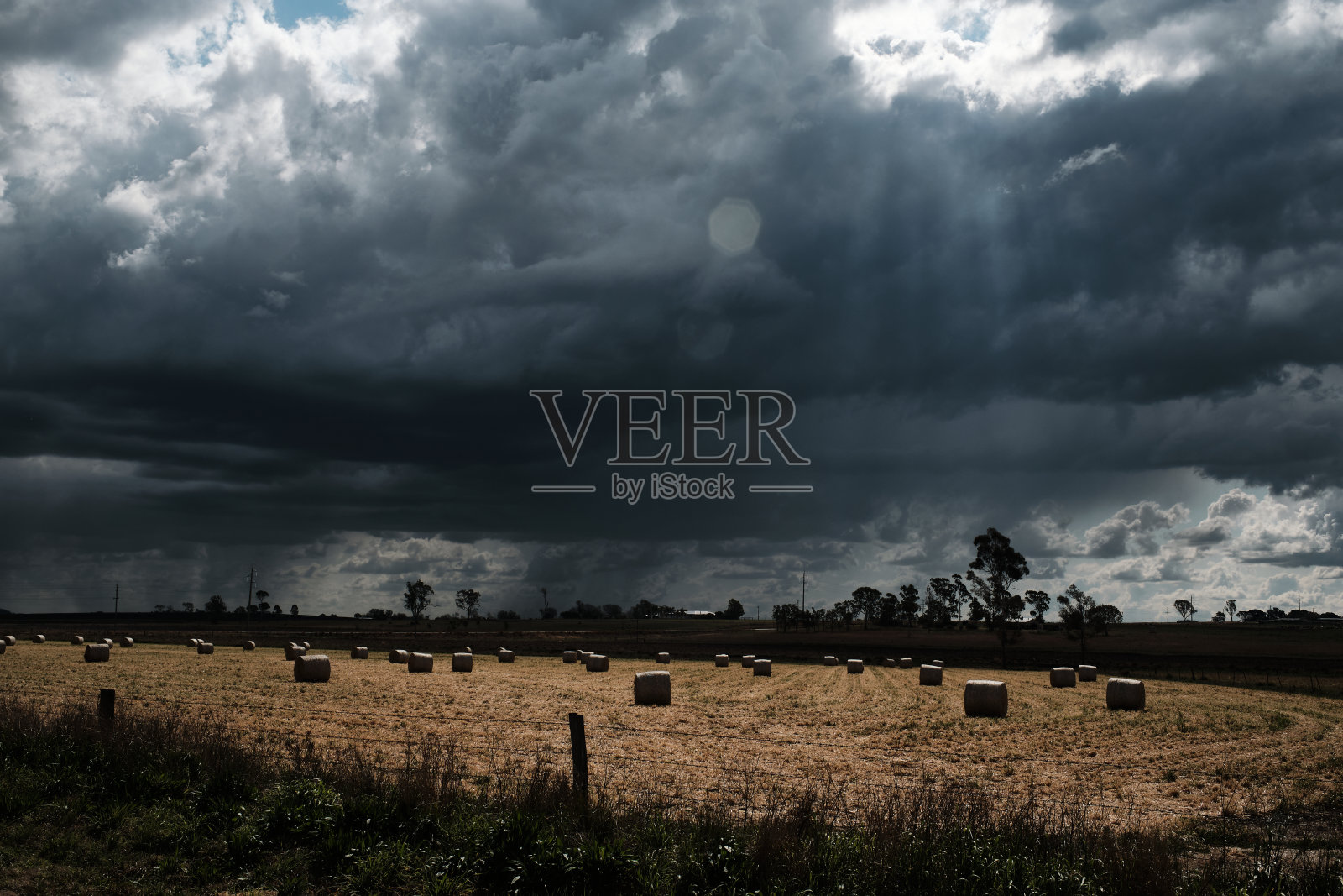 田野里的干草捆照片摄影图片