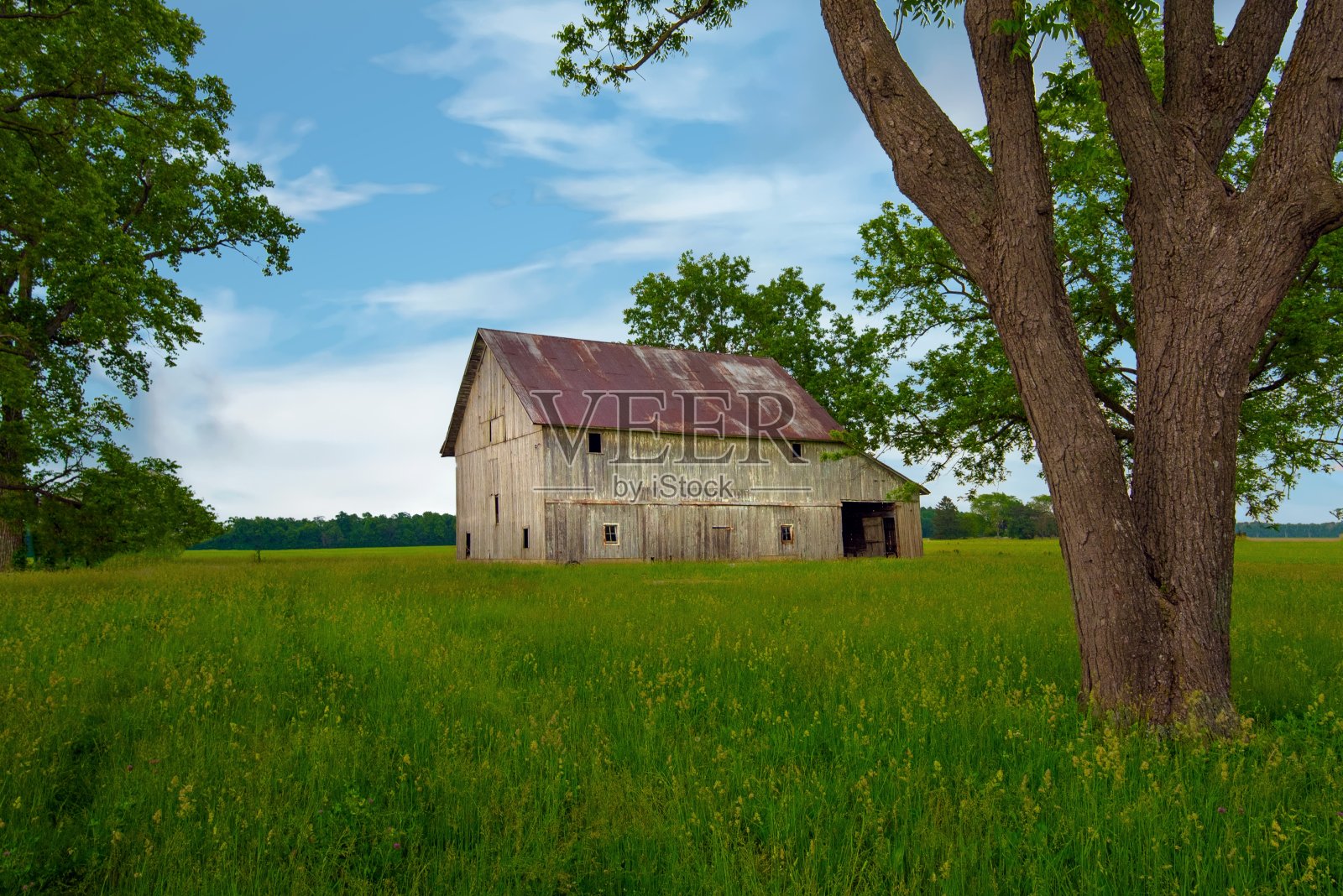 老风化谷仓-迈阿密县，印第安纳照片摄影图片