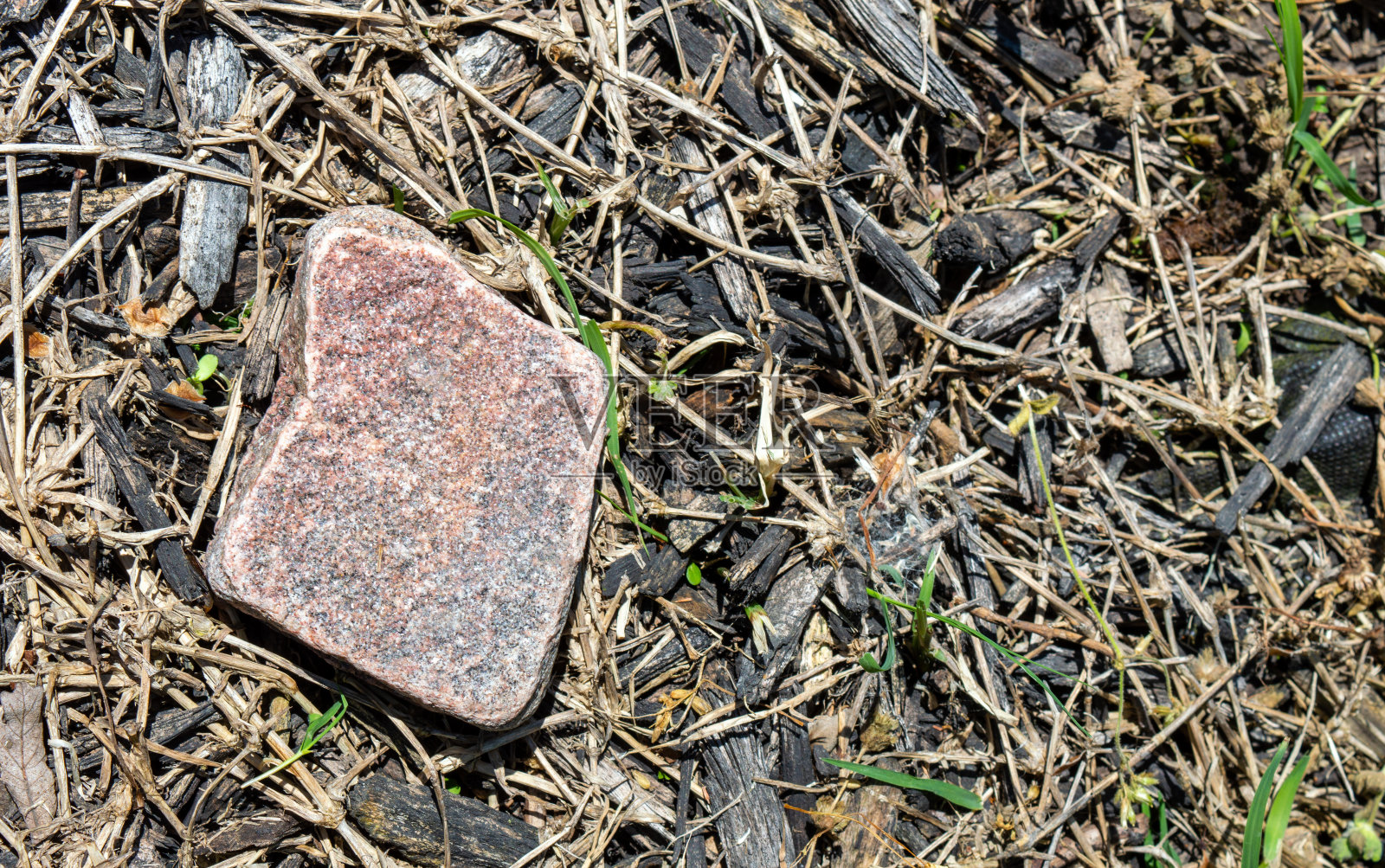 地上平坦的小岩石照片摄影图片