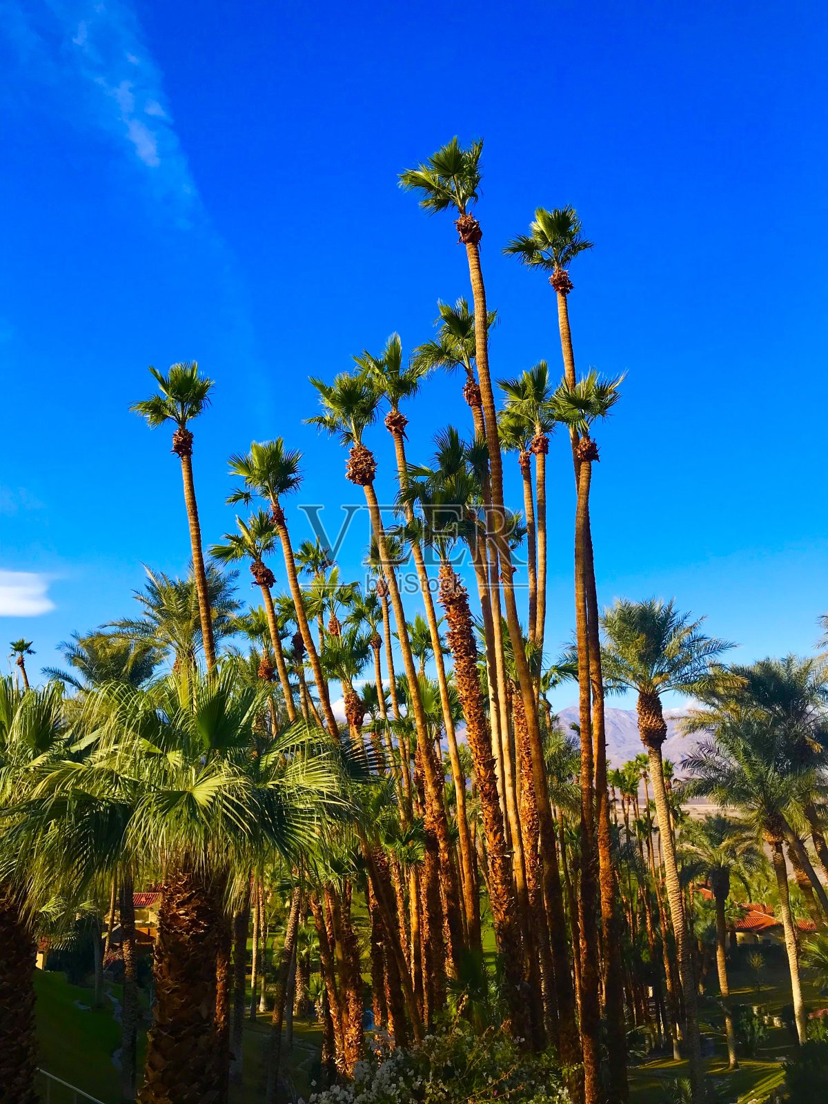 死亡谷国家公园照片摄影图片