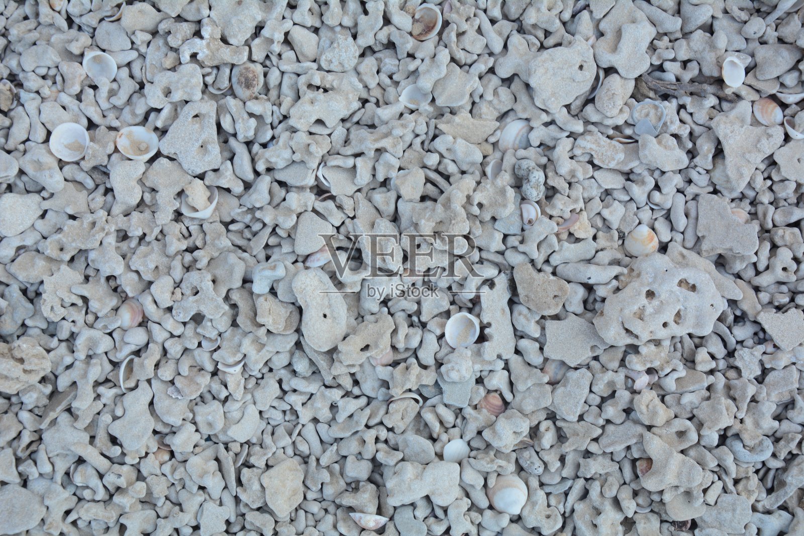 不同形状的鹅卵石海洋纹理背景照片摄影图片