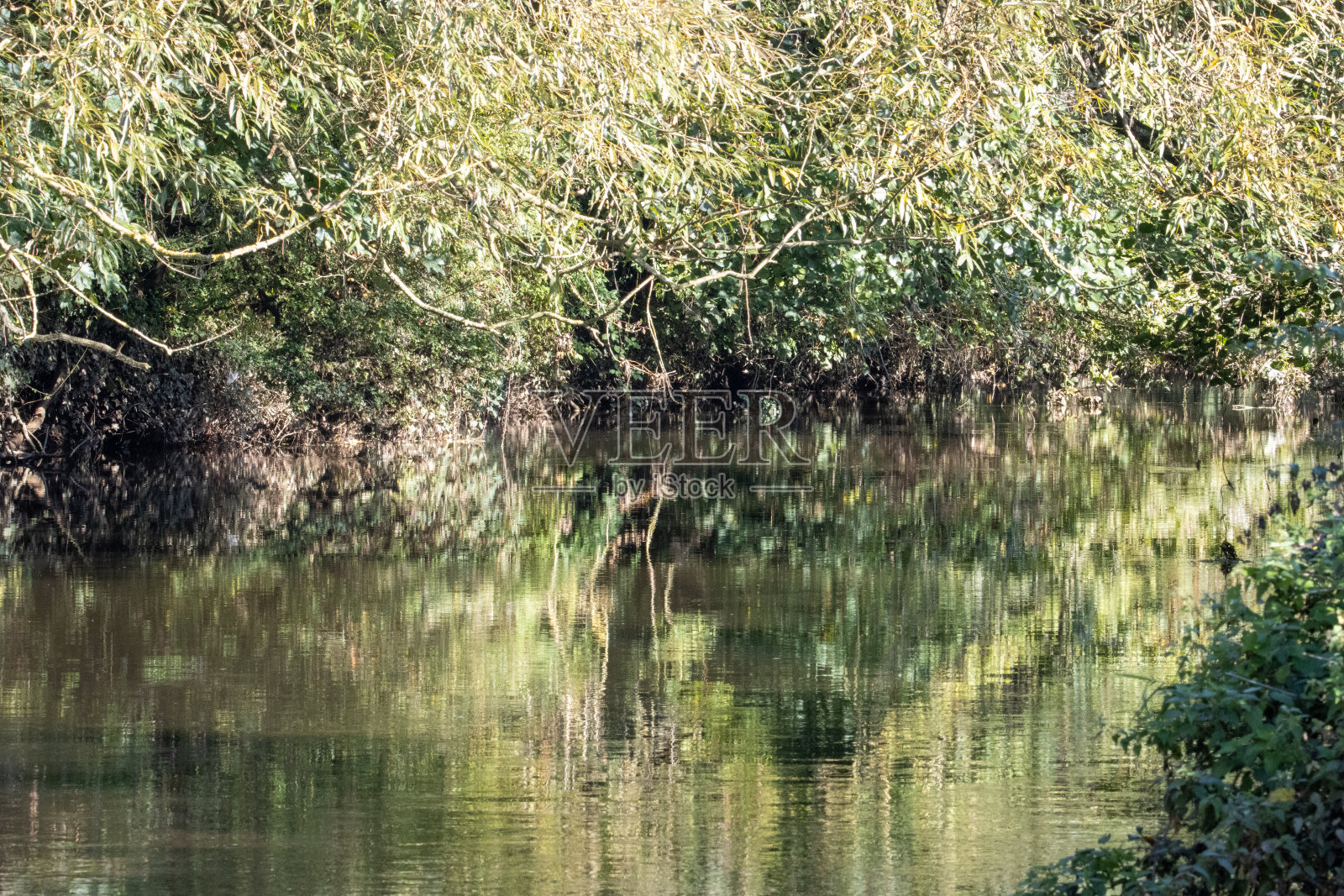 绿河照片摄影图片