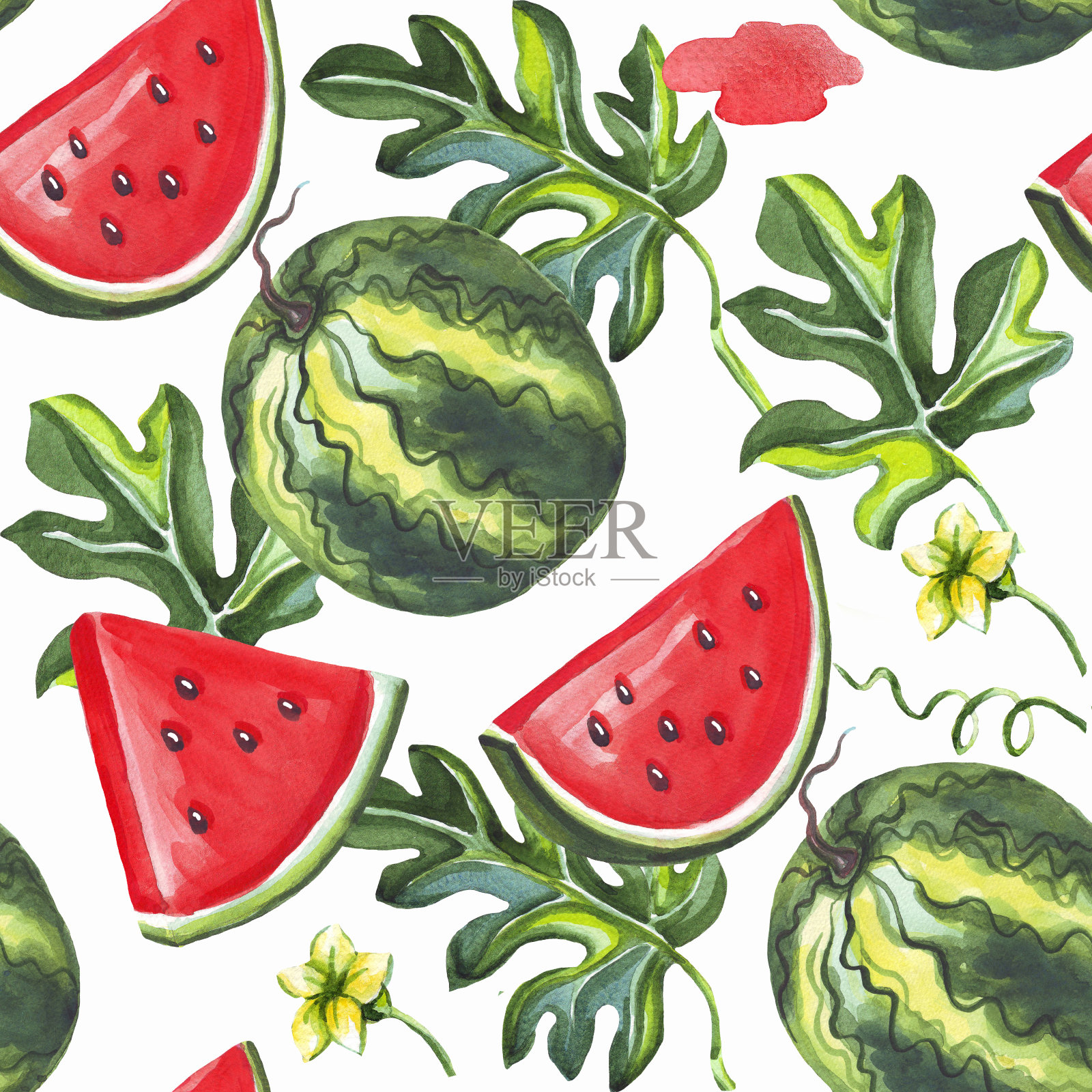西瓜的模式。水彩插图。手绘插画图片素材
