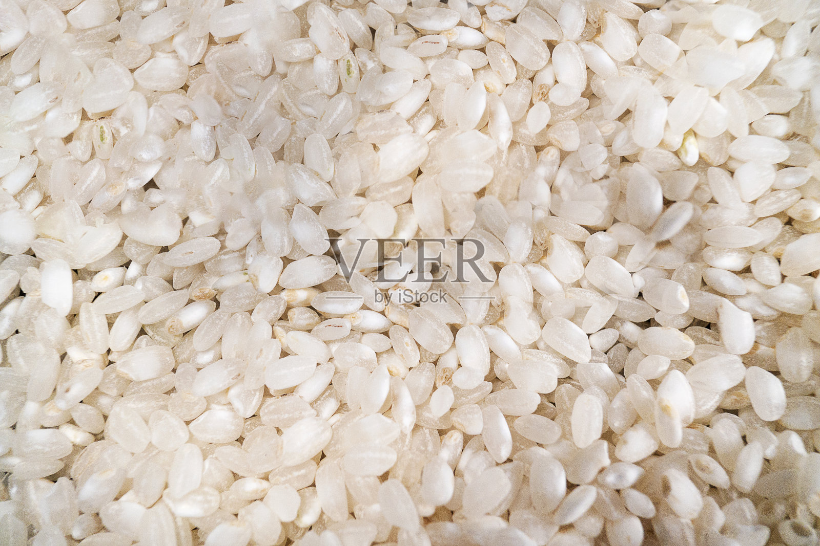 米粒照片摄影图片