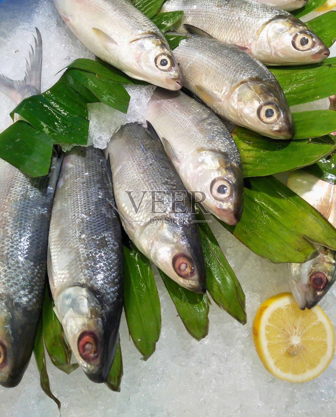 印尼市场上的鲜鱼照片摄影图片