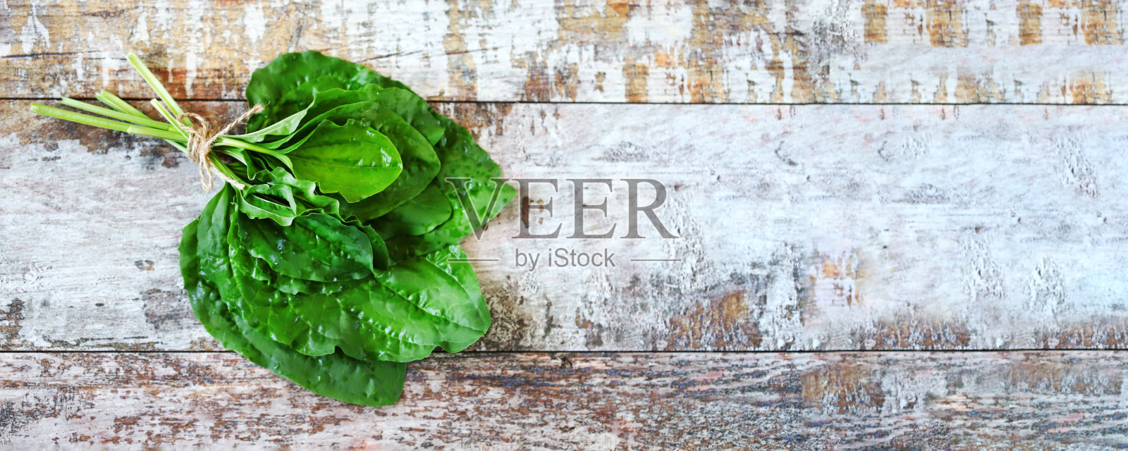 芭蕉叶。照片摄影图片