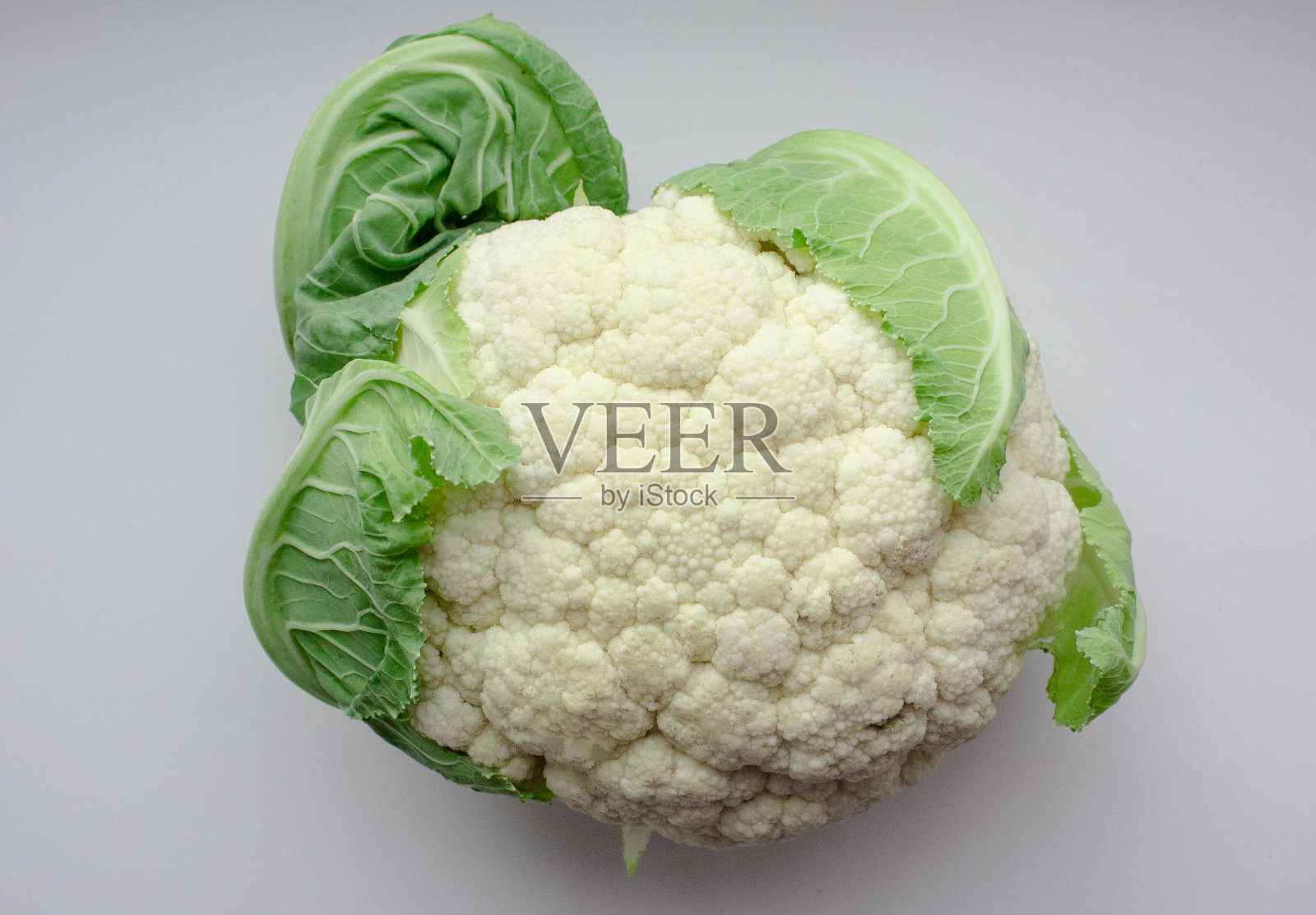 孤立的花椰菜接近白色背景照片摄影图片