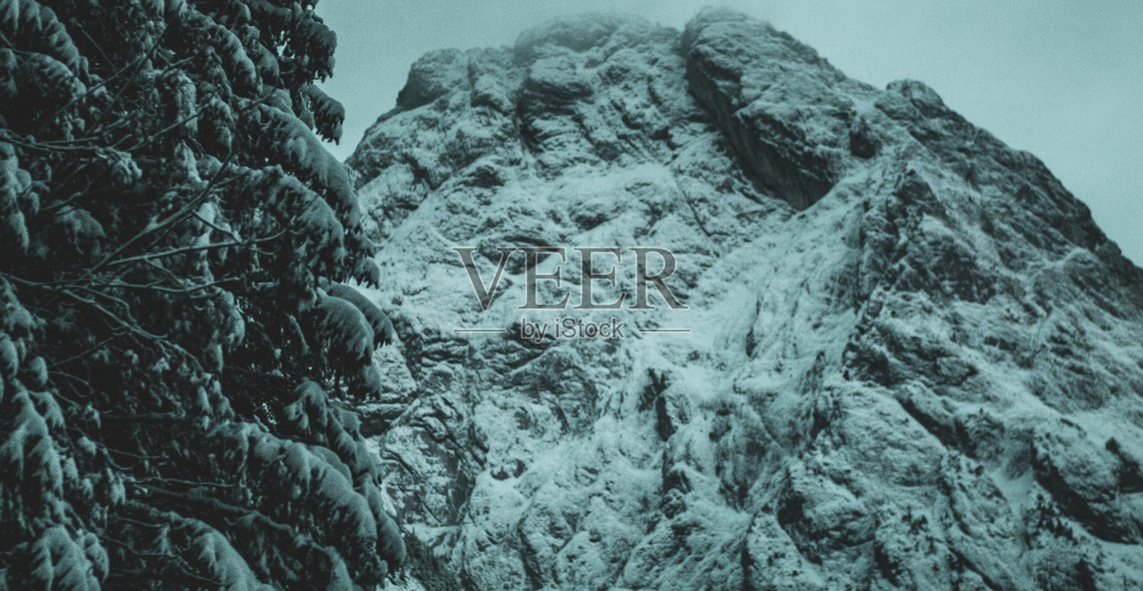 山地森林照片摄影图片