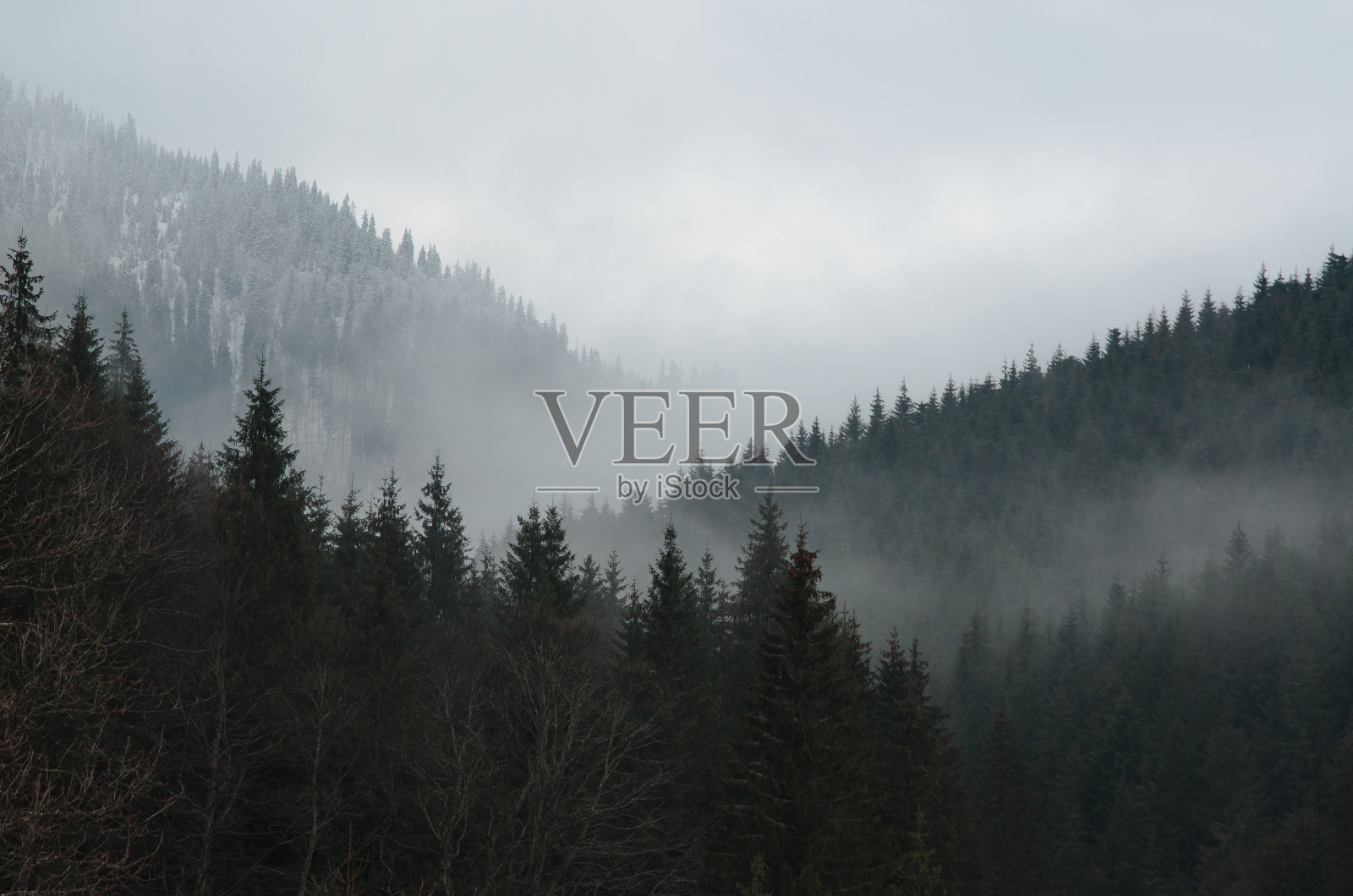 森林覆盖的山坡上低洼的云和霜照片摄影图片