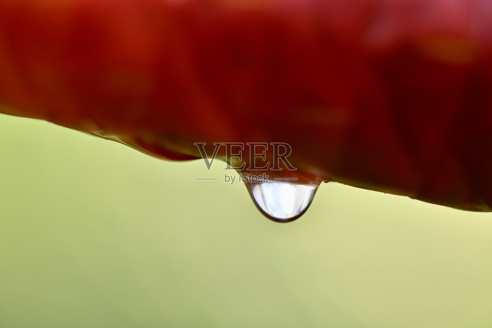 水滴照片摄影图片