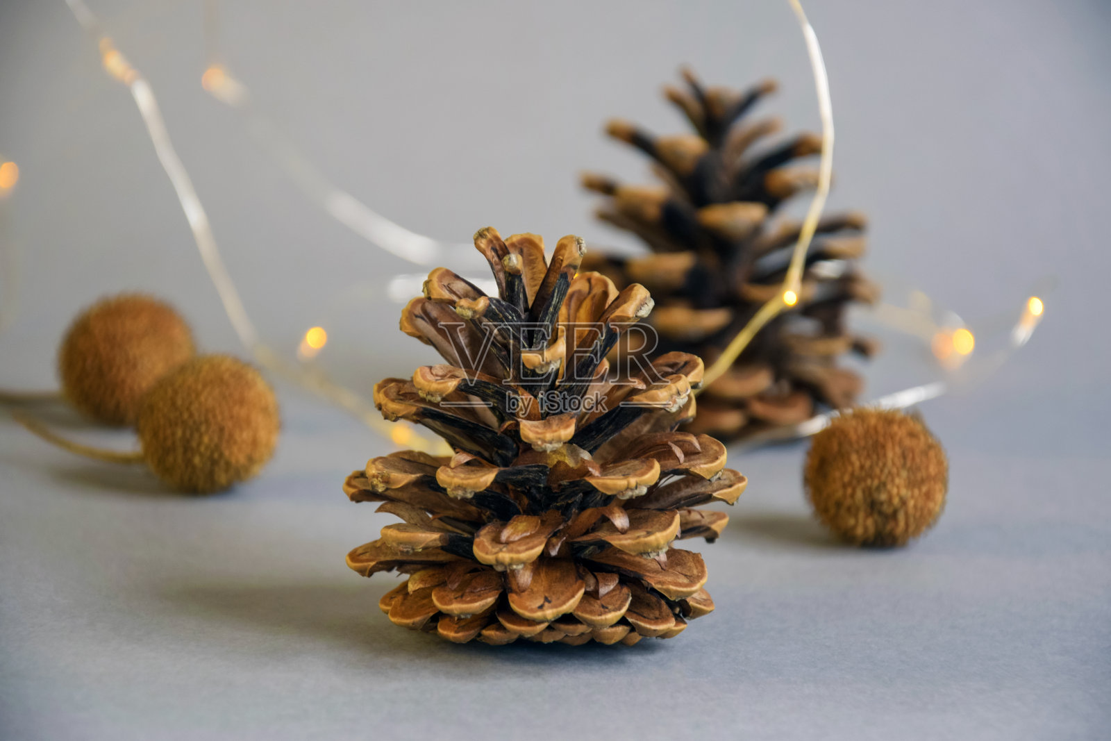 松果、干燥的梧桐树种子和灰色背景上黄色的圣诞花环。特写镜头。有选择性的重点。照片摄影图片