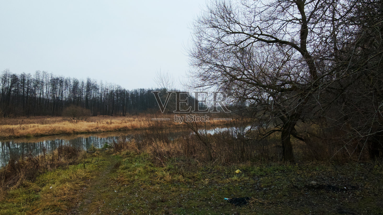 这条河位于城市公园之间。深秋,多云。河边的无叶树和干芦苇。航空摄影。照片摄影图片