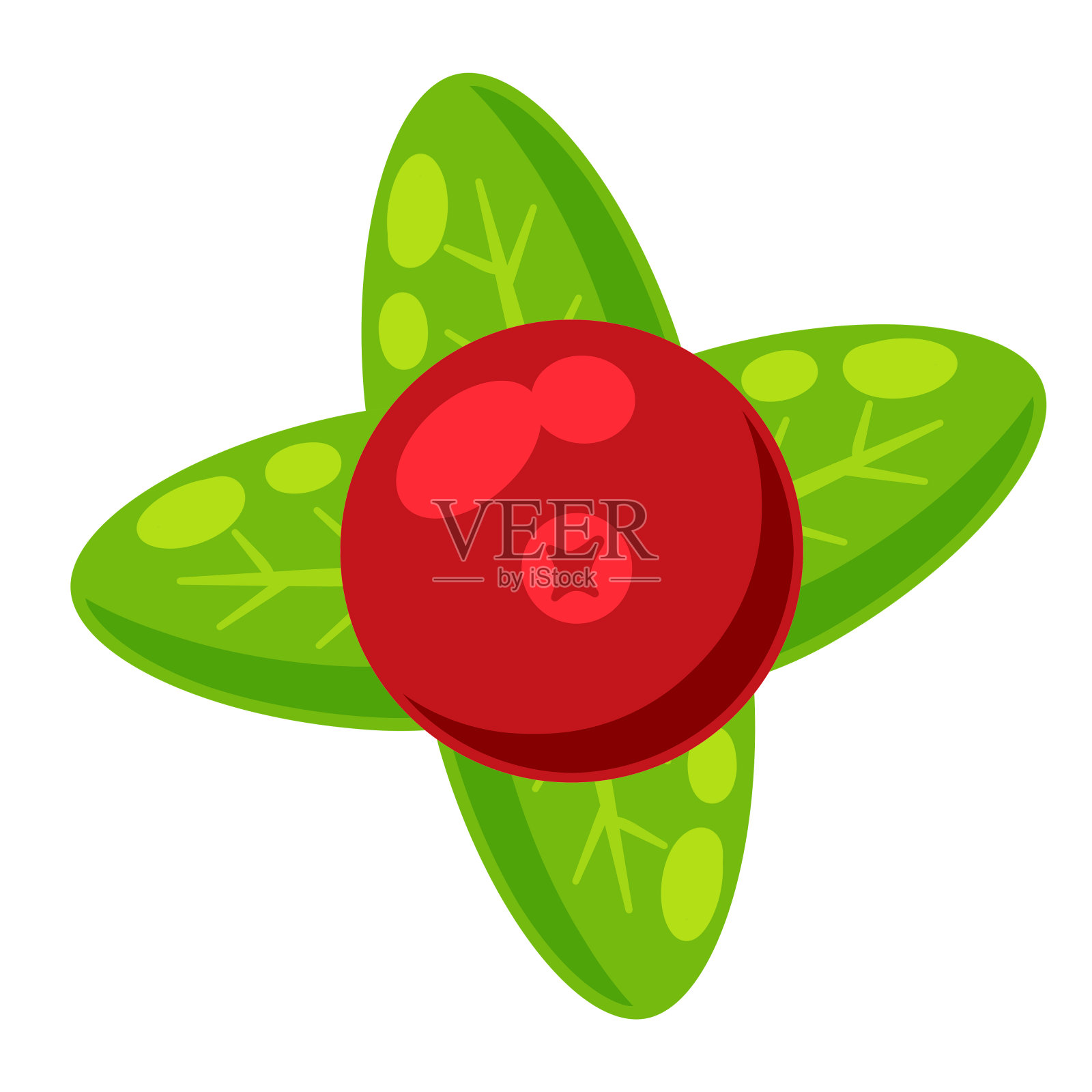 绿叶子的红醋栗。蔓越莓浆果。健康食品和甜品成分。平的卡通插图插画图片素材