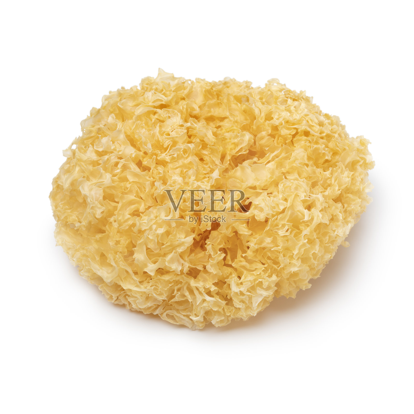 白色底色上单株全干白耳照片摄影图片