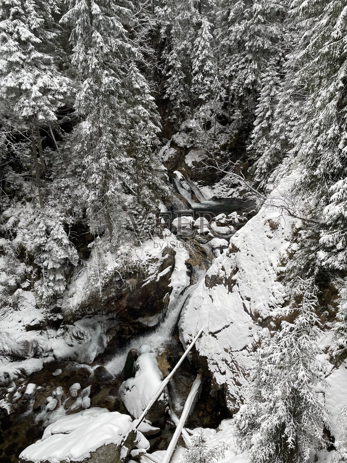 塔特拉的雪景照片摄影图片