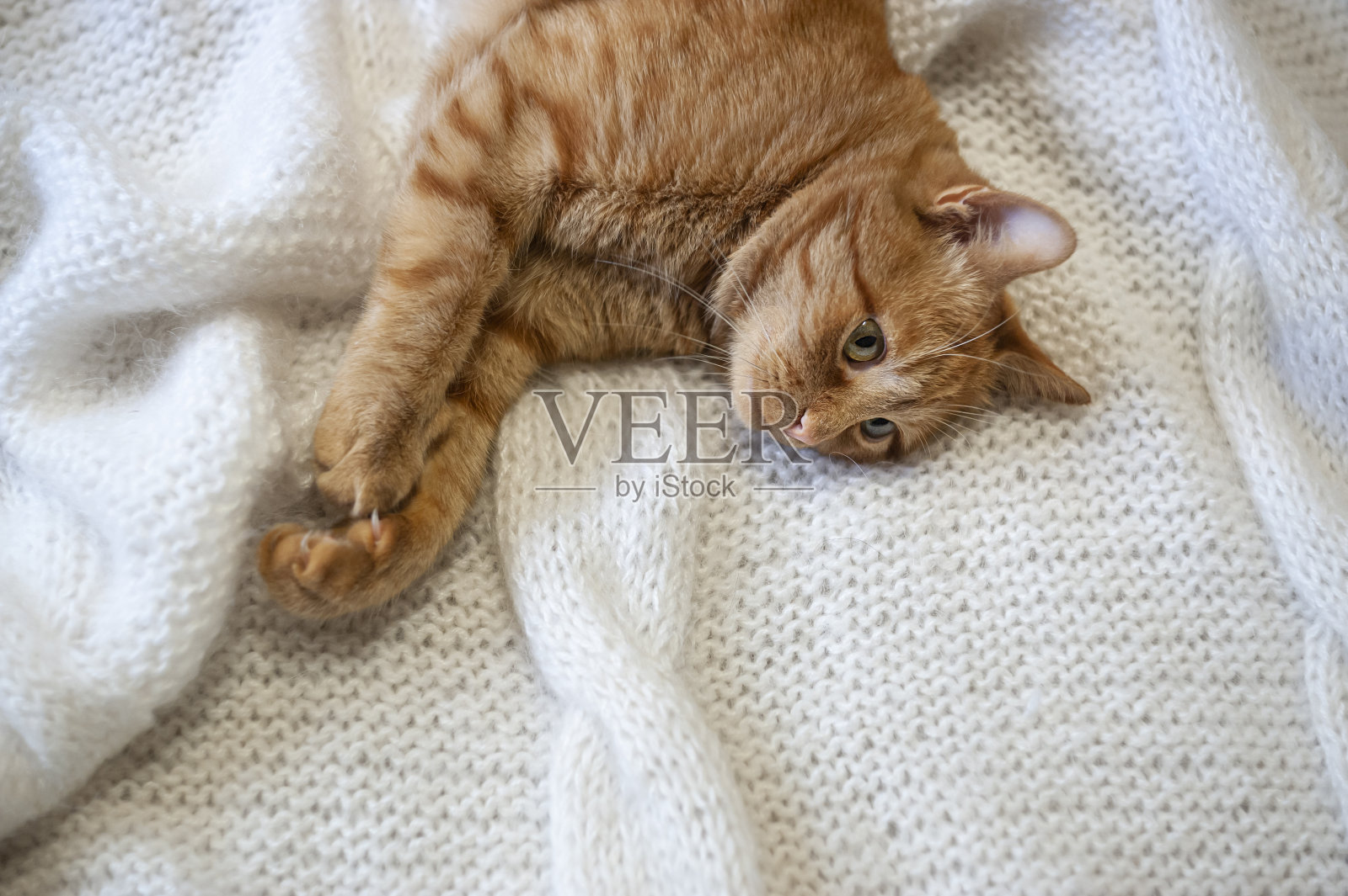 一只可爱的红猫躺在床上的针织马海毛毯子上，慵懒地享受着幸福，温暖舒适的光线照片摄影图片