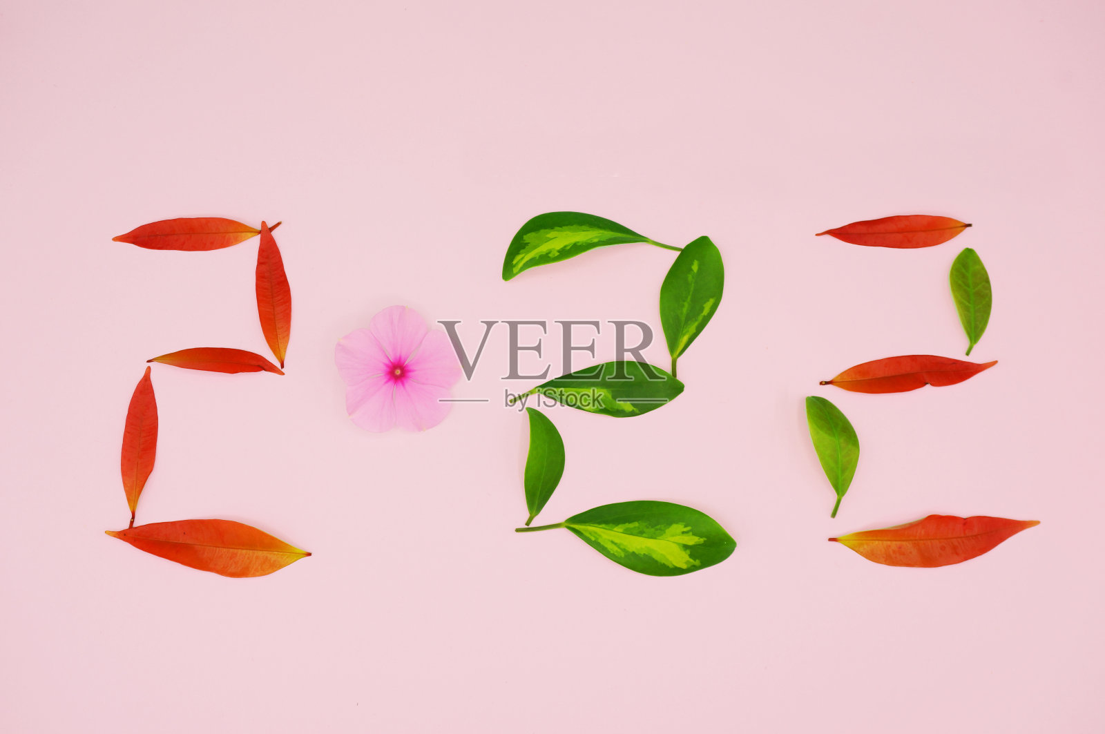 “2022”是在粉红色的背景上，由天然的叶子和花朵组成的单词。有绿色的叶子，紫色的花和红色的叶子。2022年迎新材料。照片摄影图片