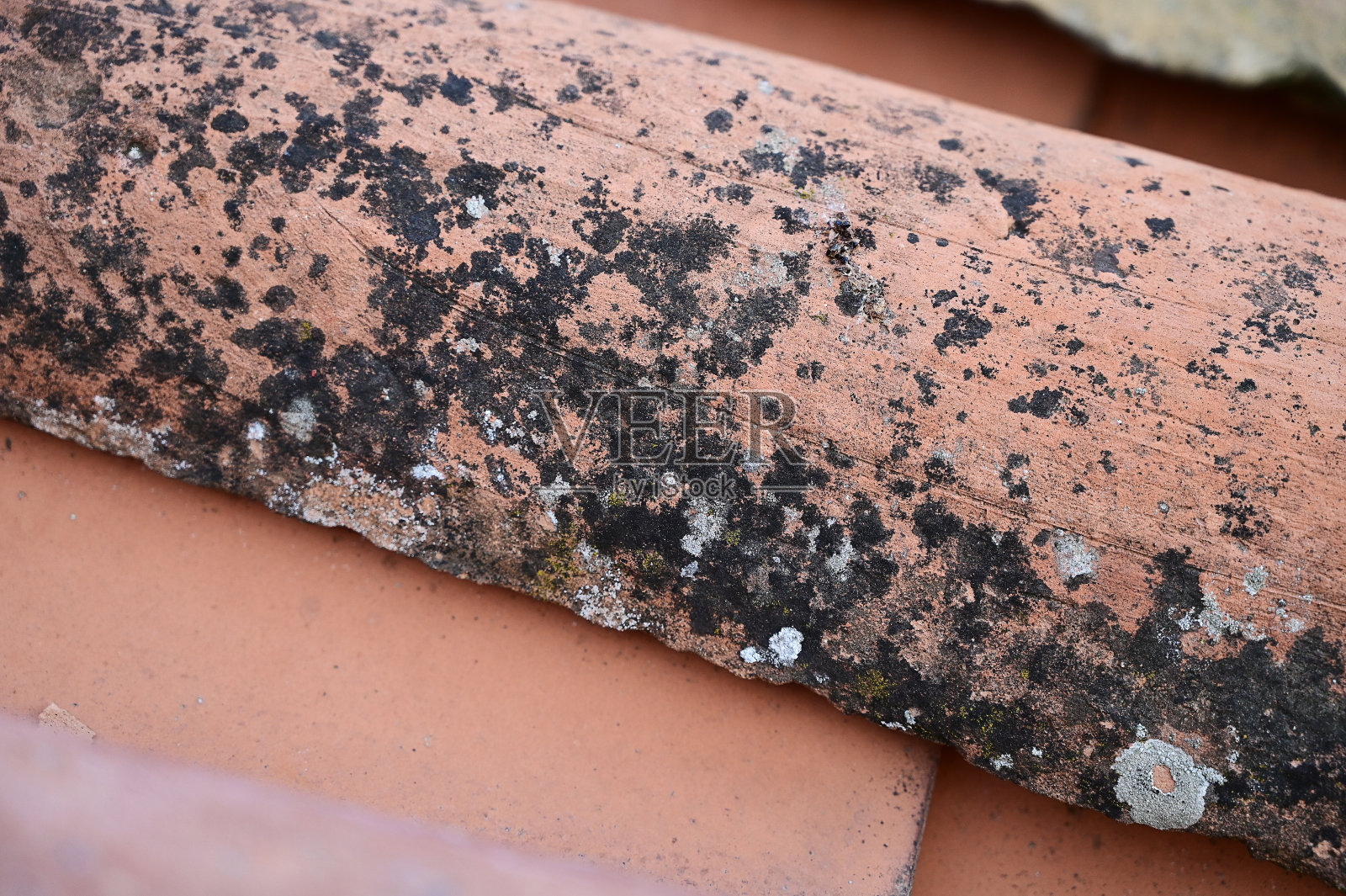 岁的带状疱疹。背景。模式。Terracotta。带苔藓的复古红瓦屋顶照片摄影图片