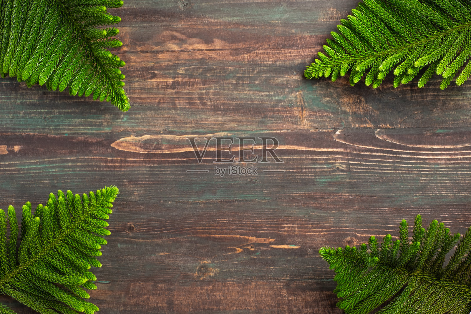 圣诞松树枝在木制桌子的背景照片摄影图片