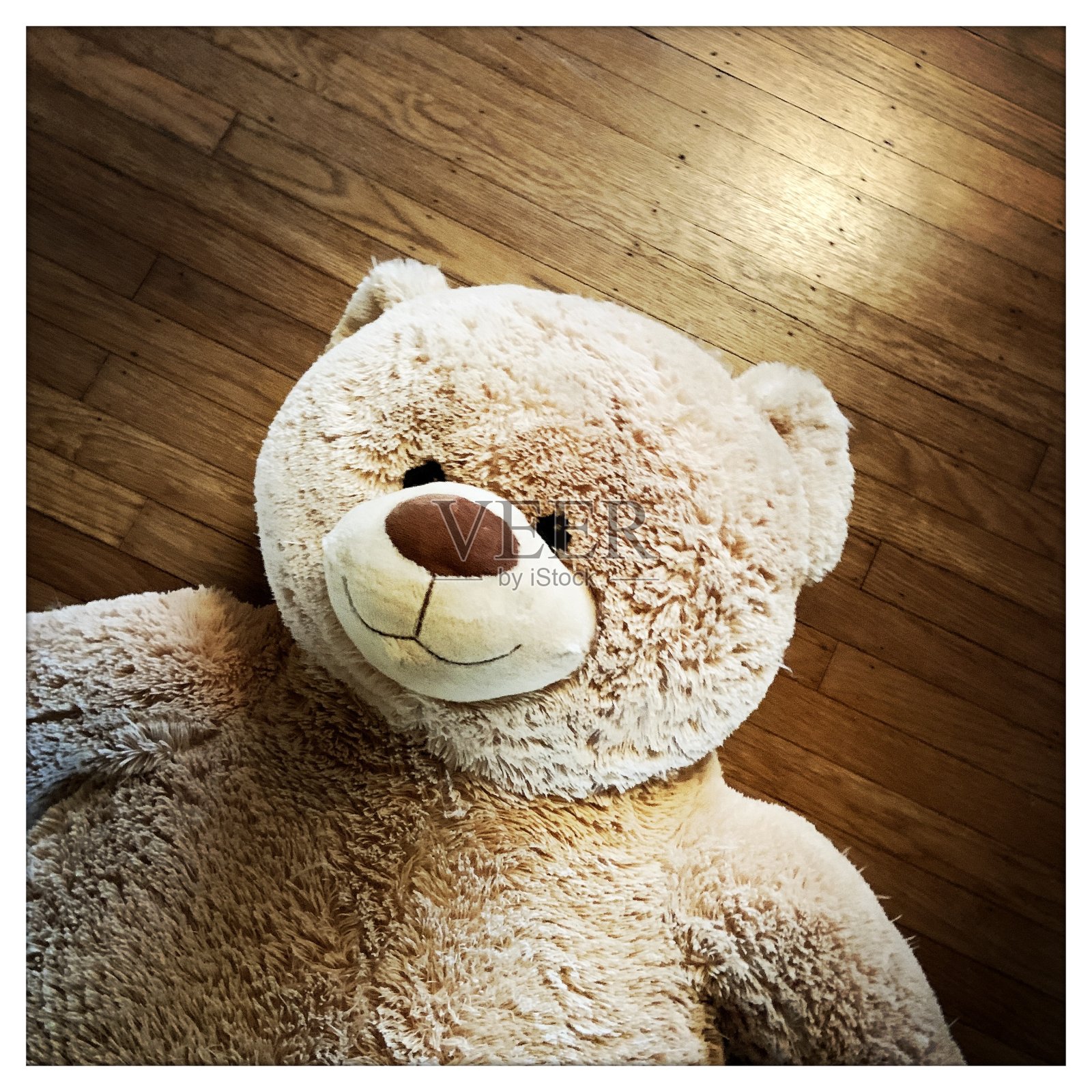 木制地板上的泰迪熊照片摄影图片