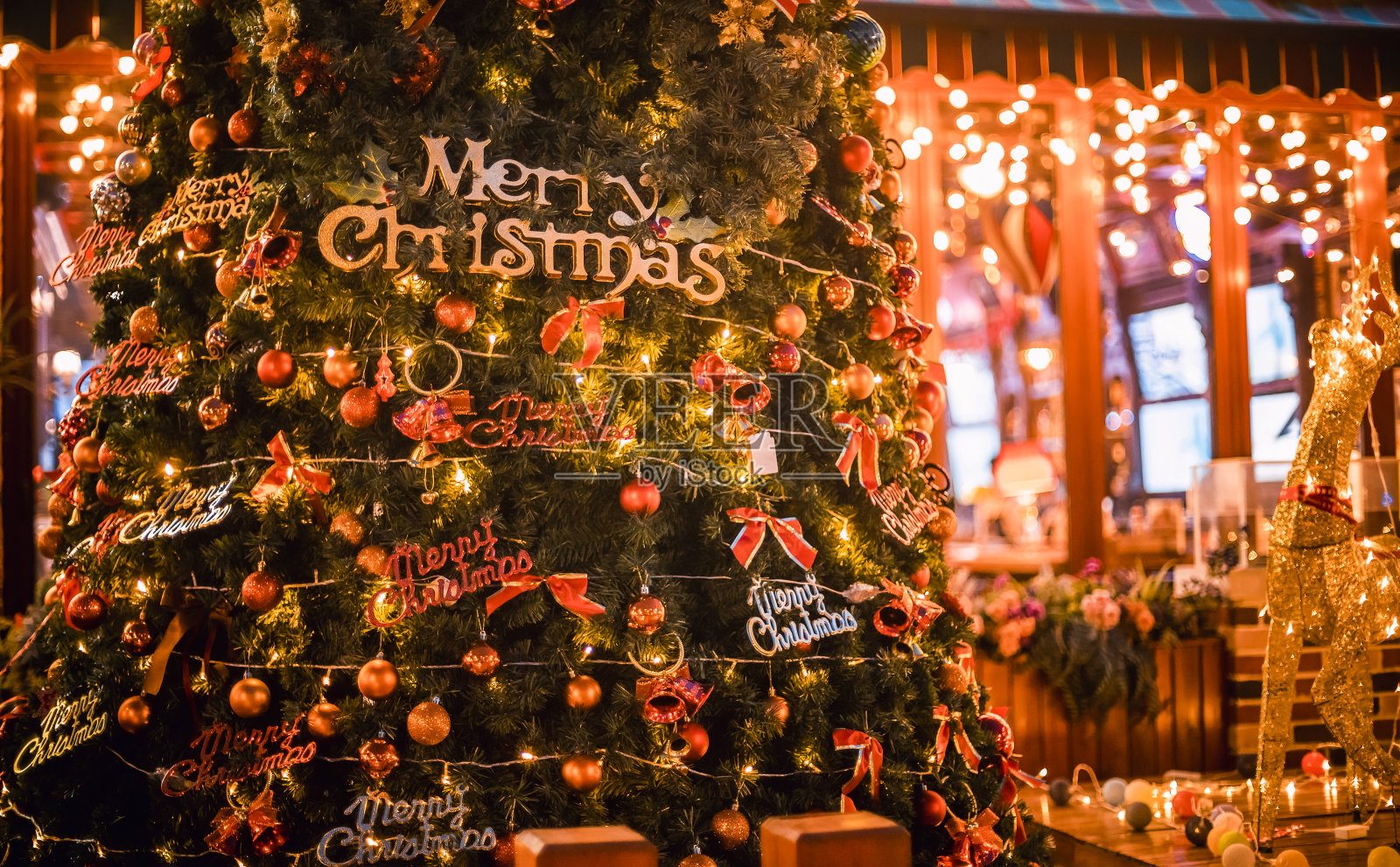 夜晚的圣诞树照片摄影图片