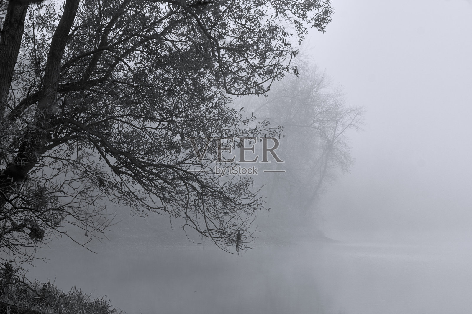 河上的晨雾，水边的树木。照片摄影图片