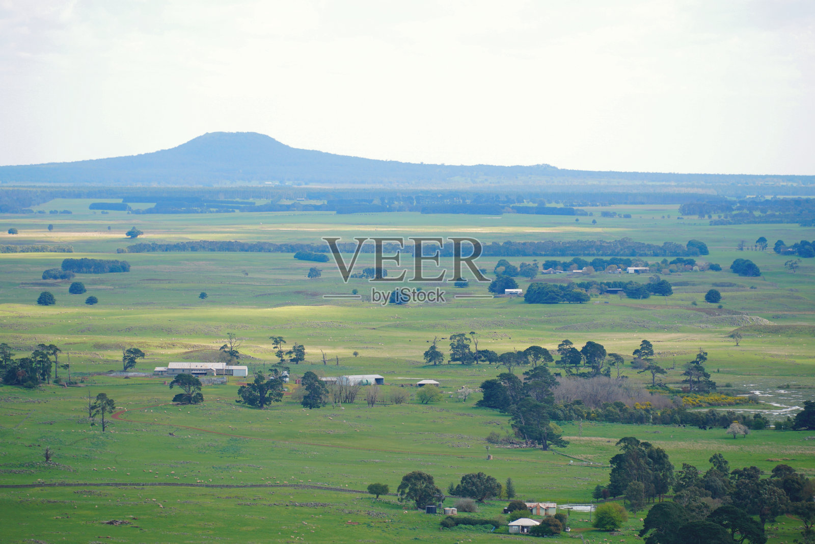 Penshurst,维多利亚,澳大利亚照片摄影图片
