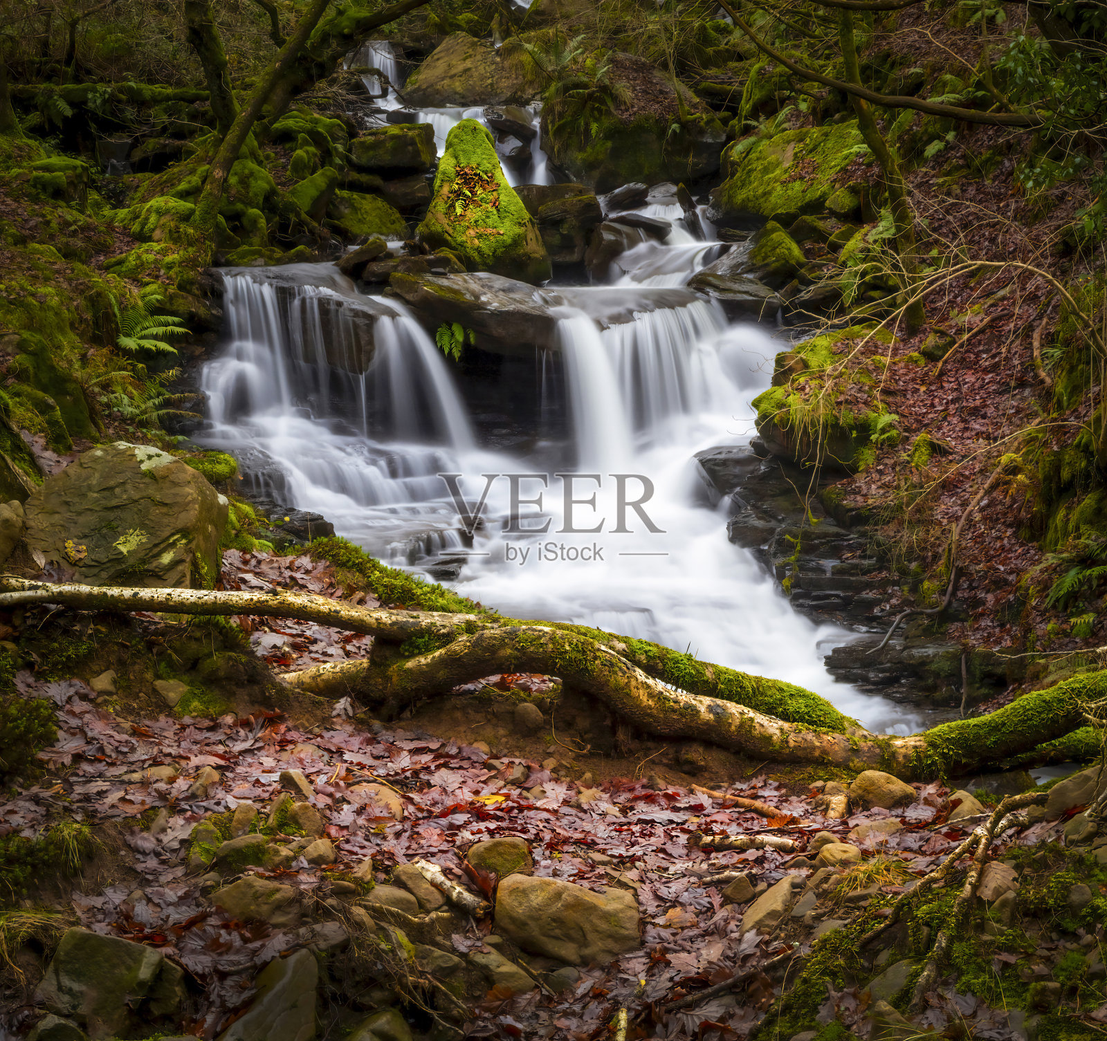 Melincourt溪瀑布照片摄影图片