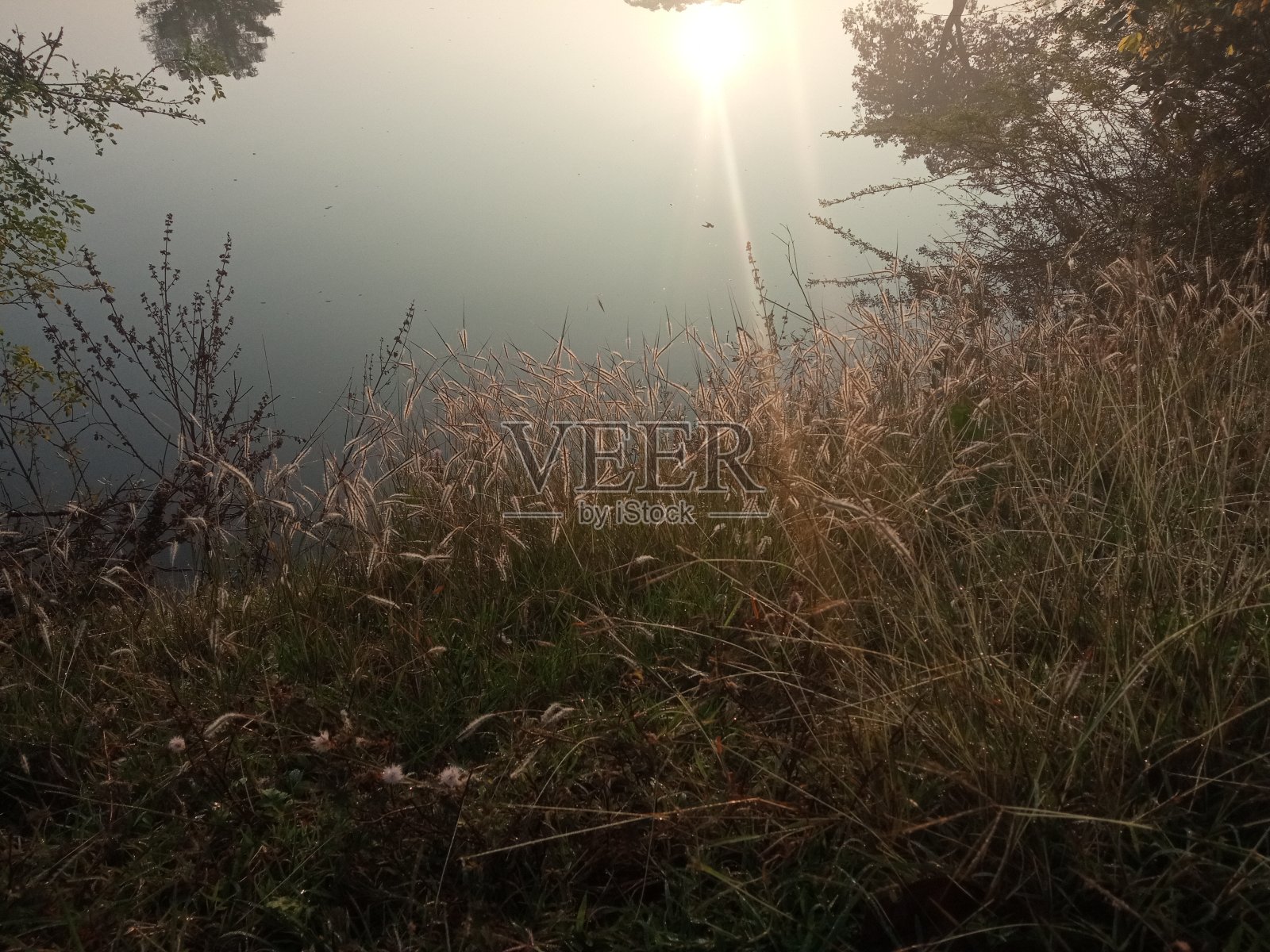 在黎明照片摄影图片