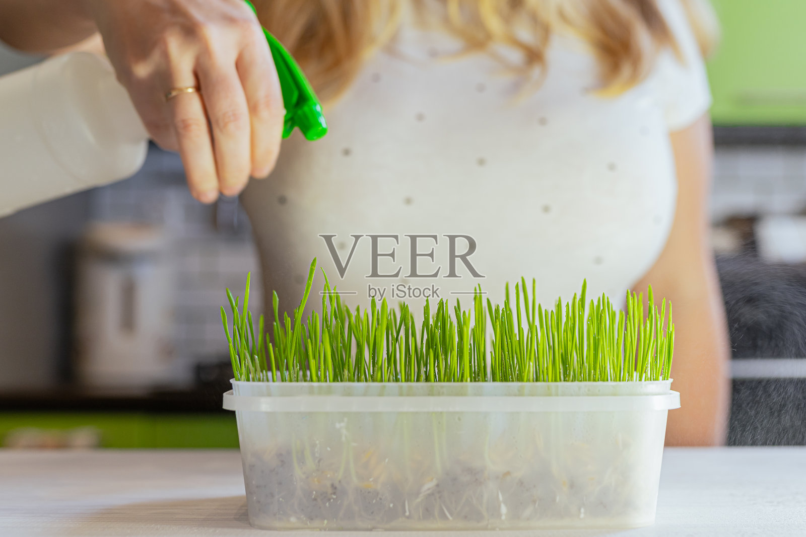 都市丛林，生食饮食理念，宠物维他命草药。植物保健照片摄影图片