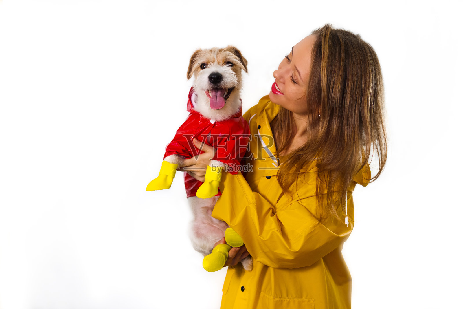 一个穿着黄色雨衣的微笑女孩的肖像，怀里抱着一只穿着红色夹克的狗狗杰克罗素梗。隔离在白色背景上照片摄影图片