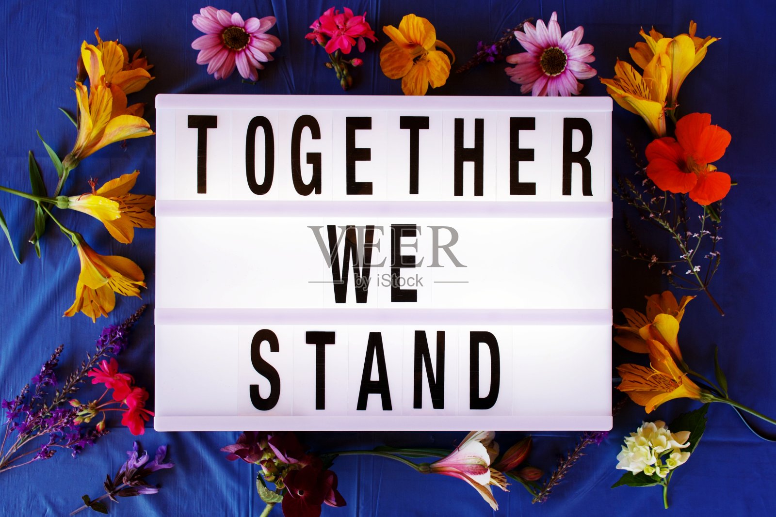 我们一起站在灯箱潮流中照片摄影图片