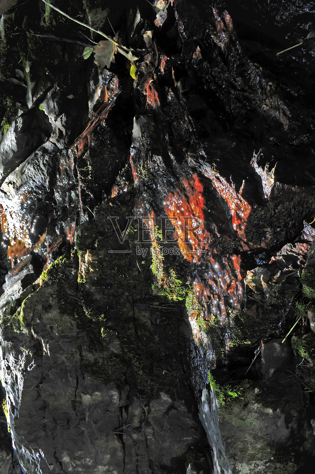 夏季山地森林景观照片摄影图片