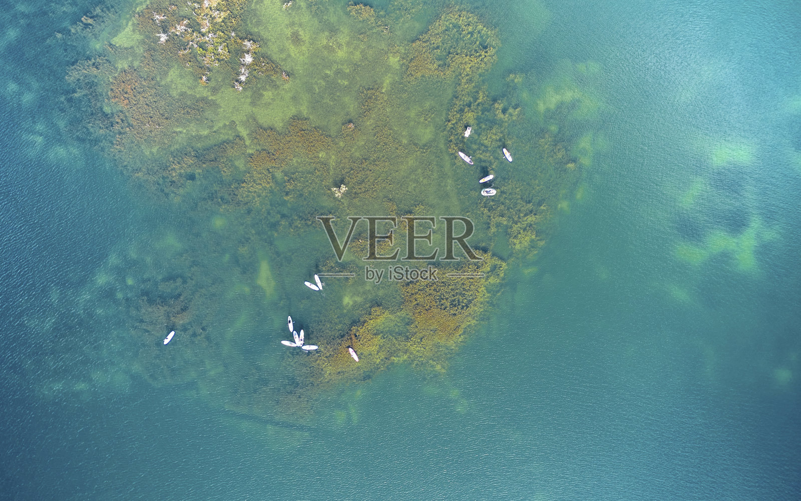 在水草之间，人们带着补给板在水上飞行照片摄影图片