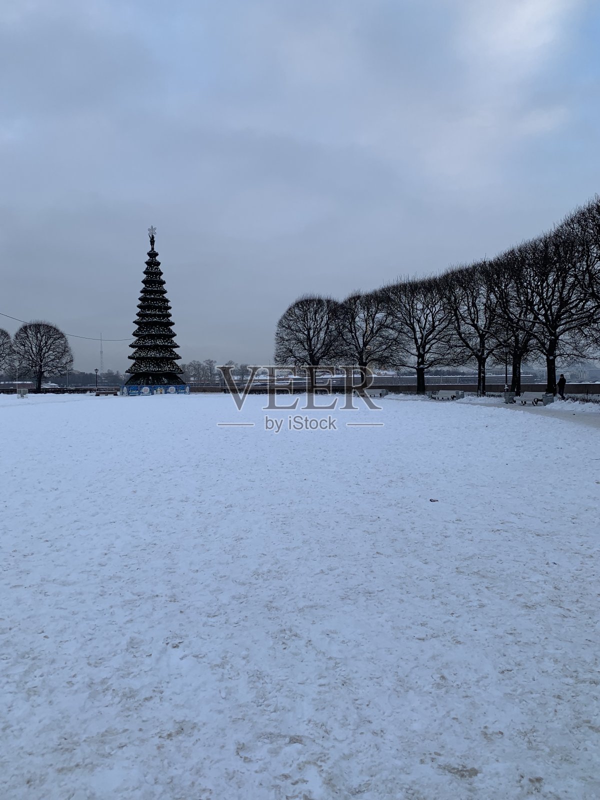 圣诞树照片摄影图片